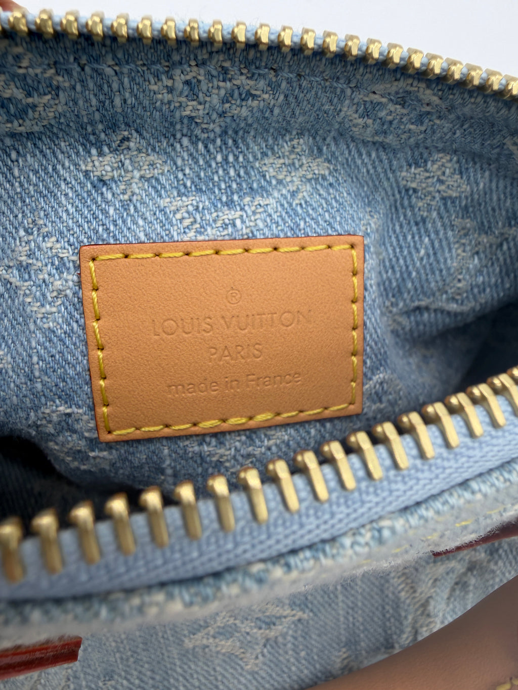 Louis Vuitton Denim Speedy Nano