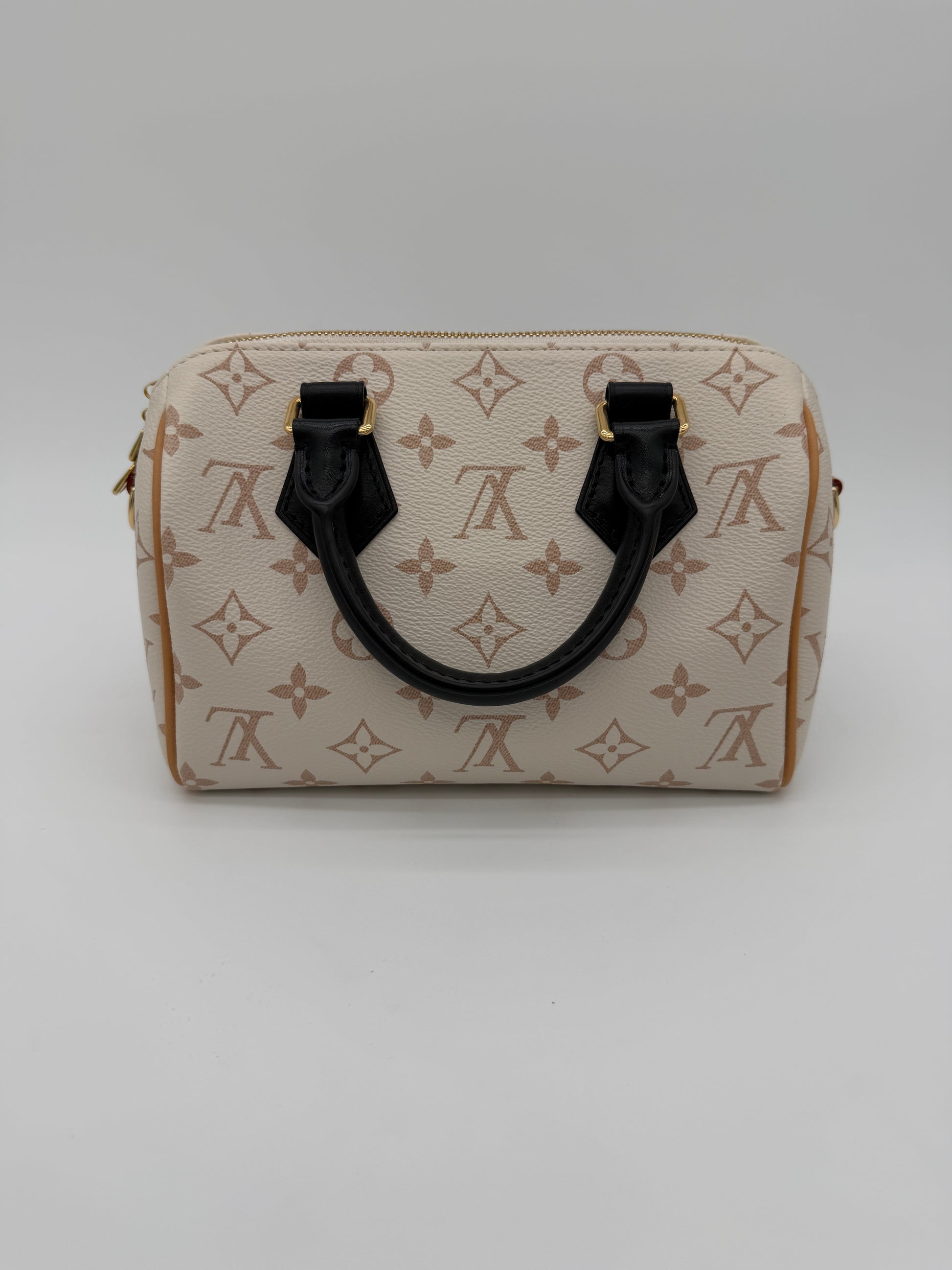 Louis Vuitton Speedy 20 Dune