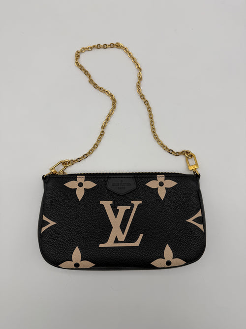 Louis Vuitton Bicolor Pochette