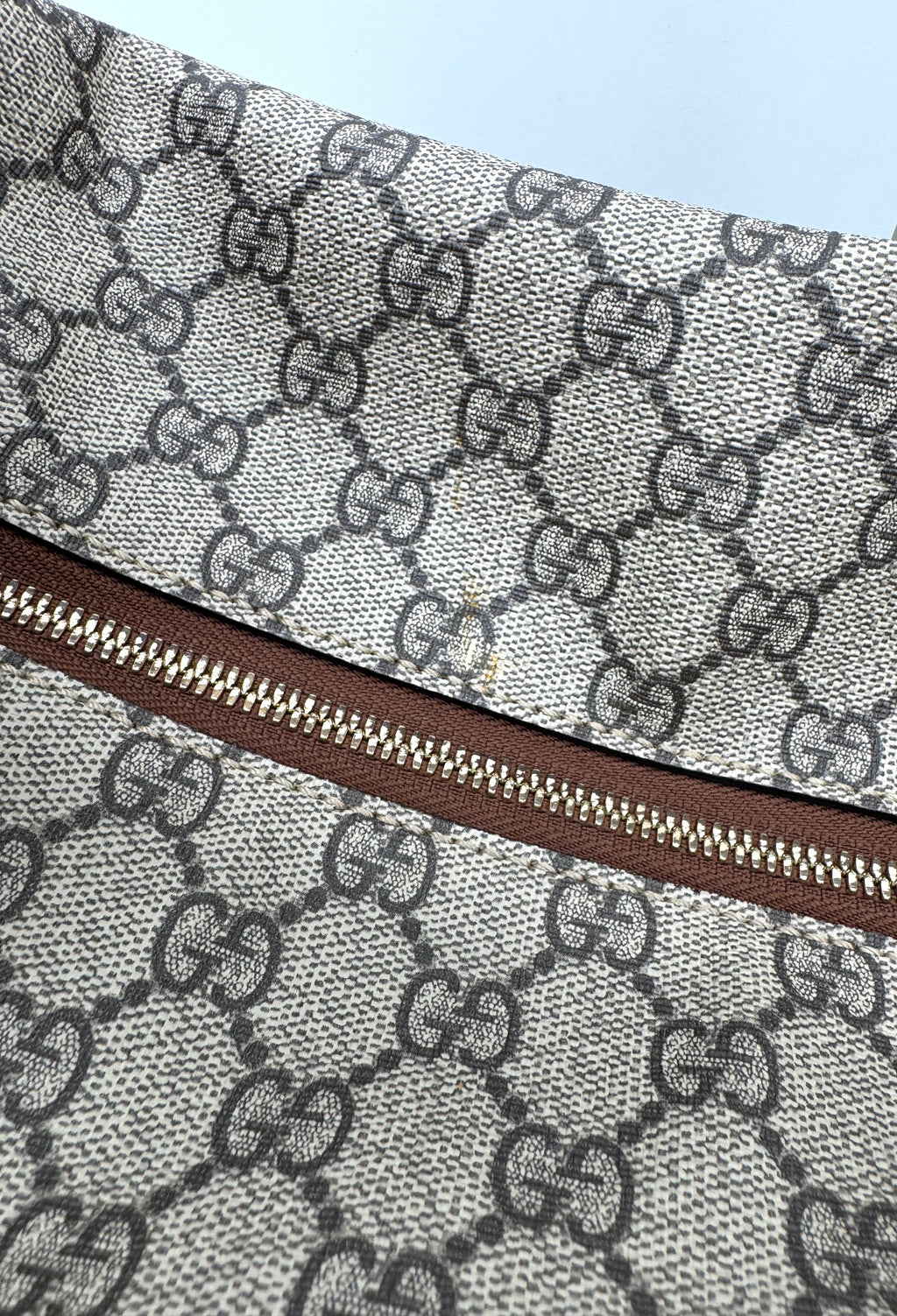 Gucci Chain Hobo Shoulder Bag GG Coated Canvas