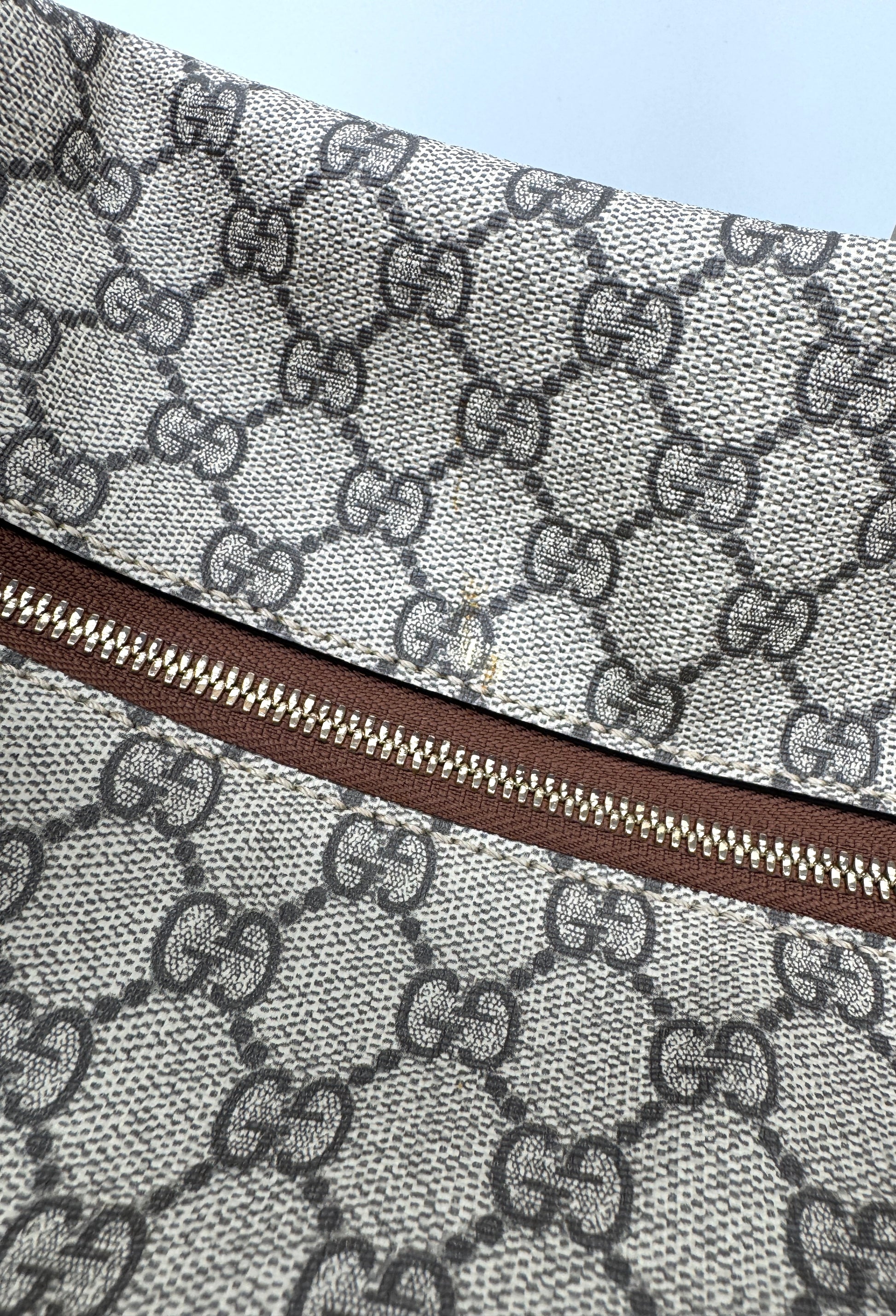 Gucci Chain Hobo Shoulder Bag GG Coated Canvas