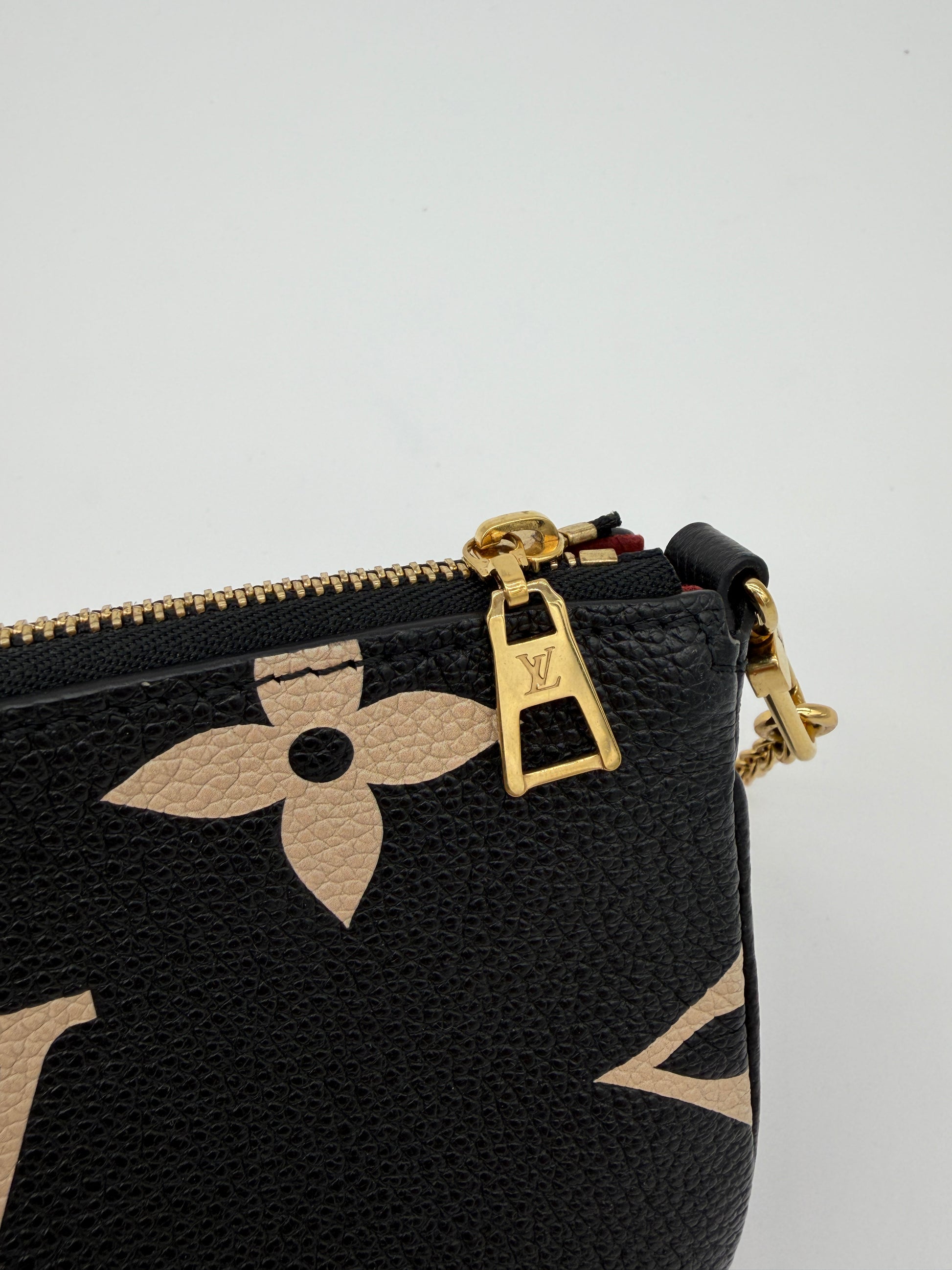 Louis Vuitton Bicolor Pochette
