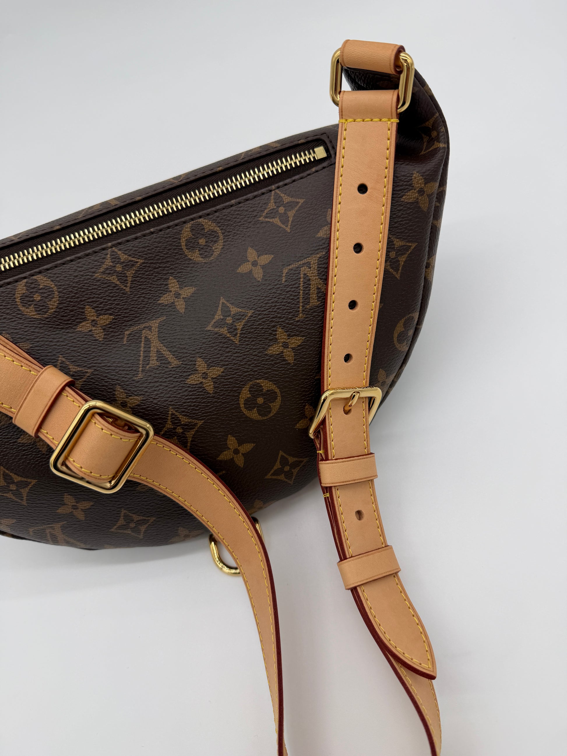 Louis Vuitton OG Monogram Bumbag