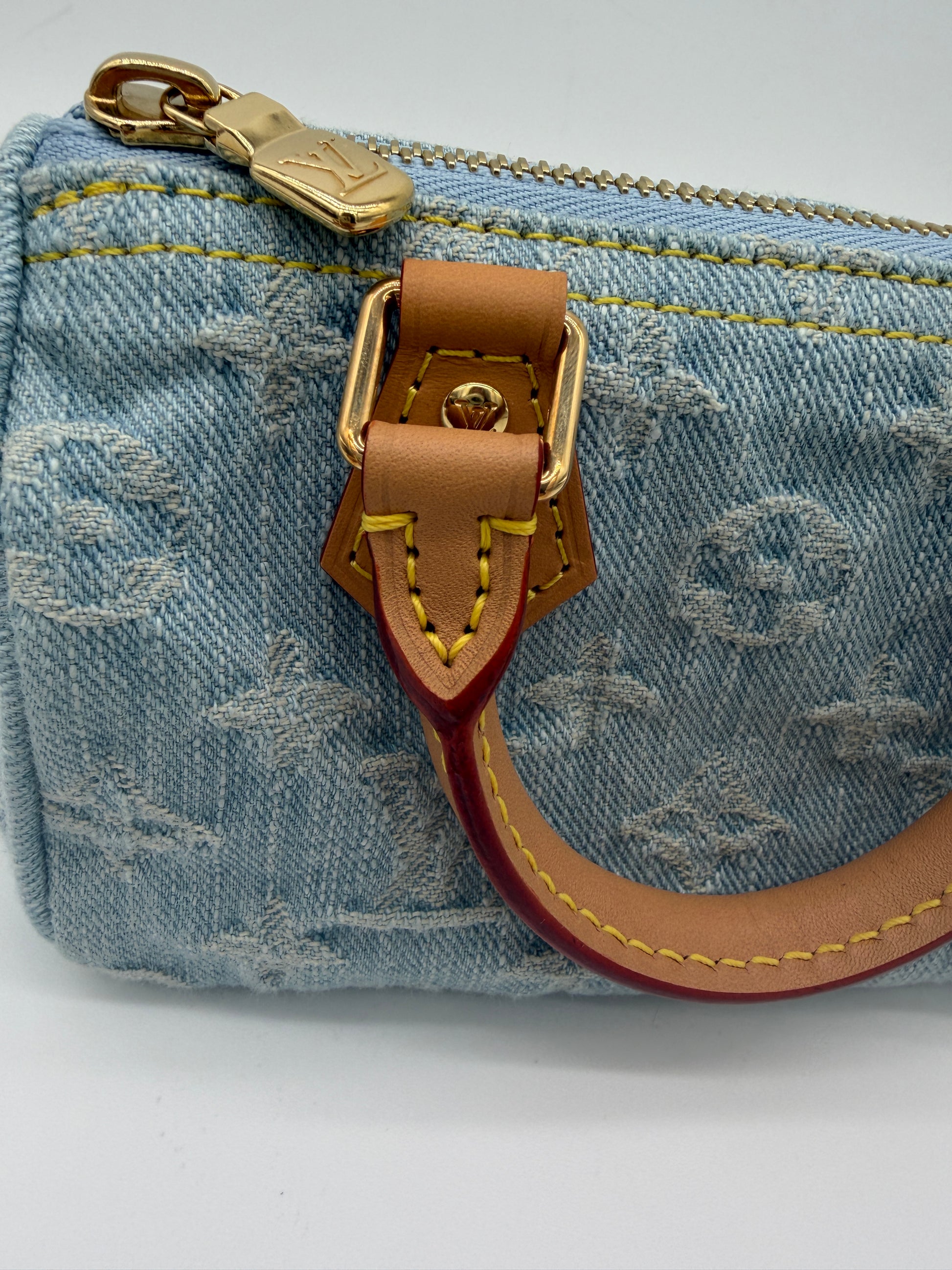 Louis Vuitton Denim Speedy Nano