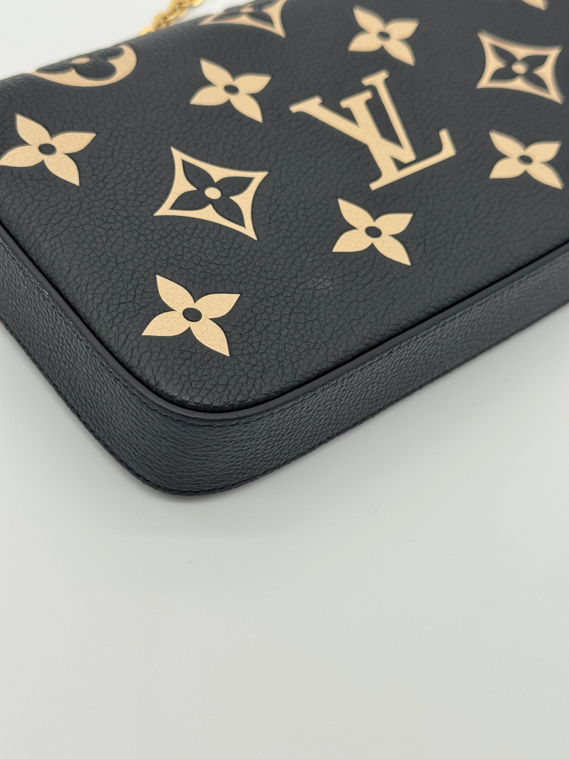Louis Vuitton Felicie Pochette Bicolor Empreinte