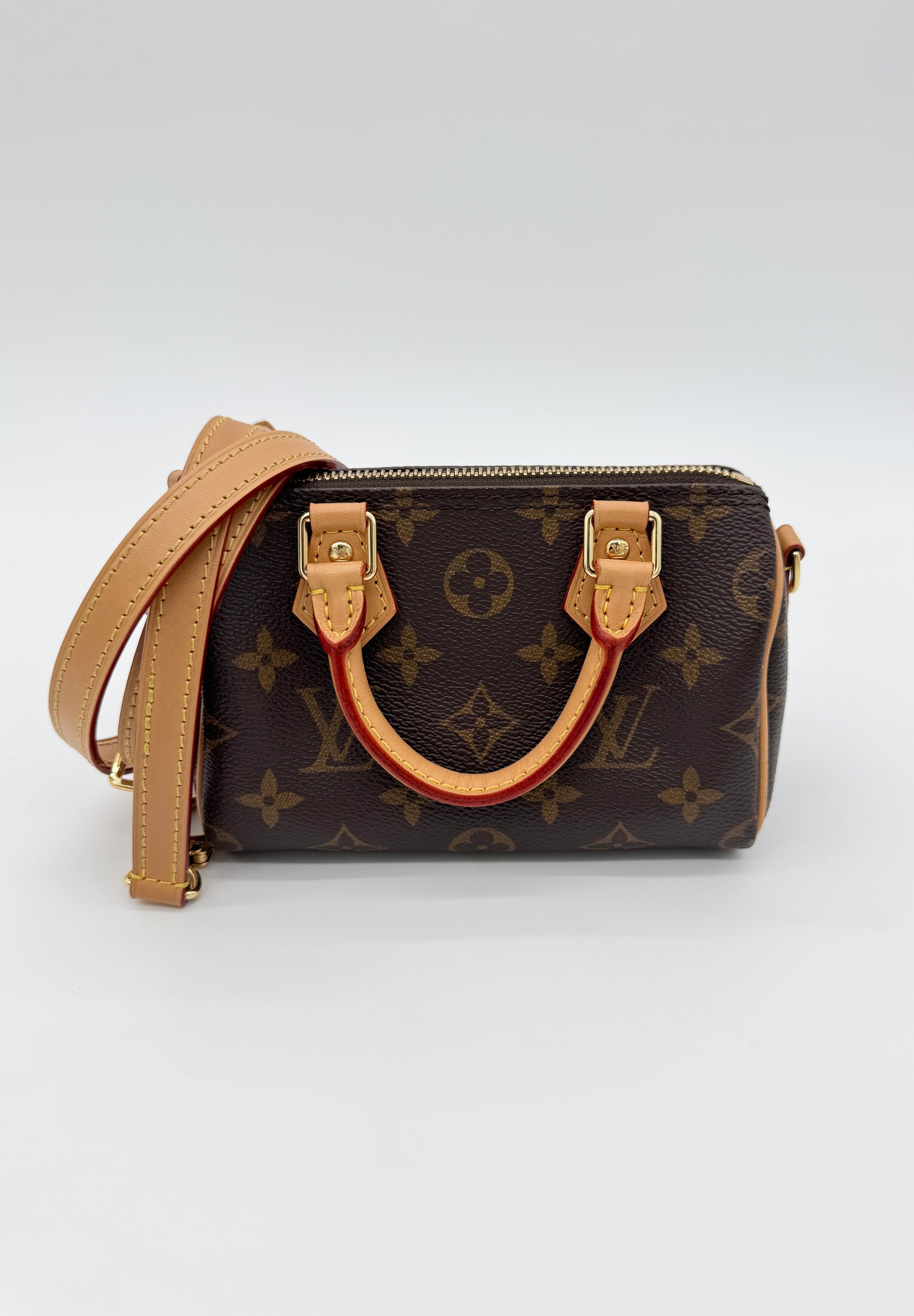 Louis Vuitton Monogram Speedy Nano