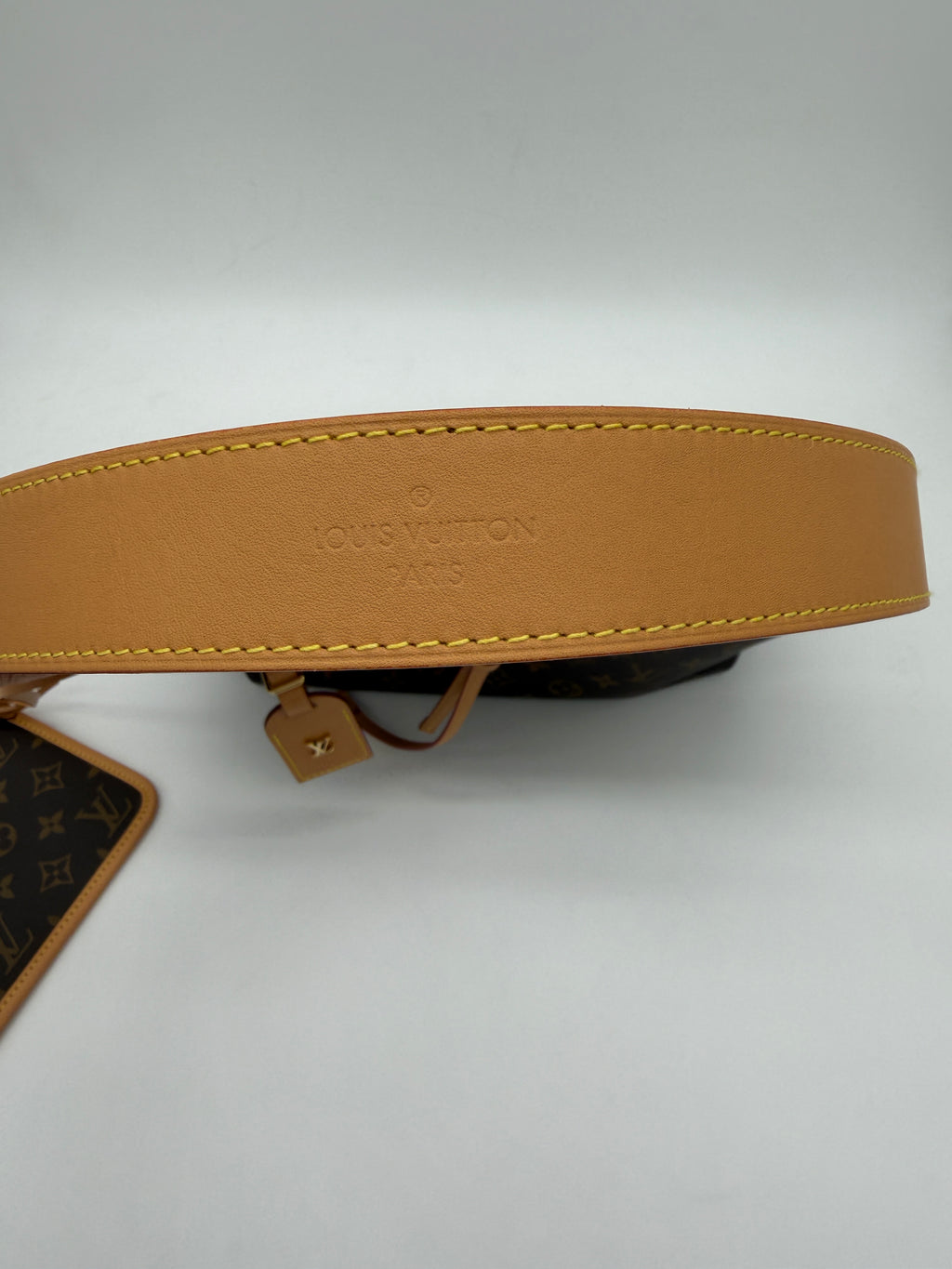 Louis Vuitton Monogram Carryall PM