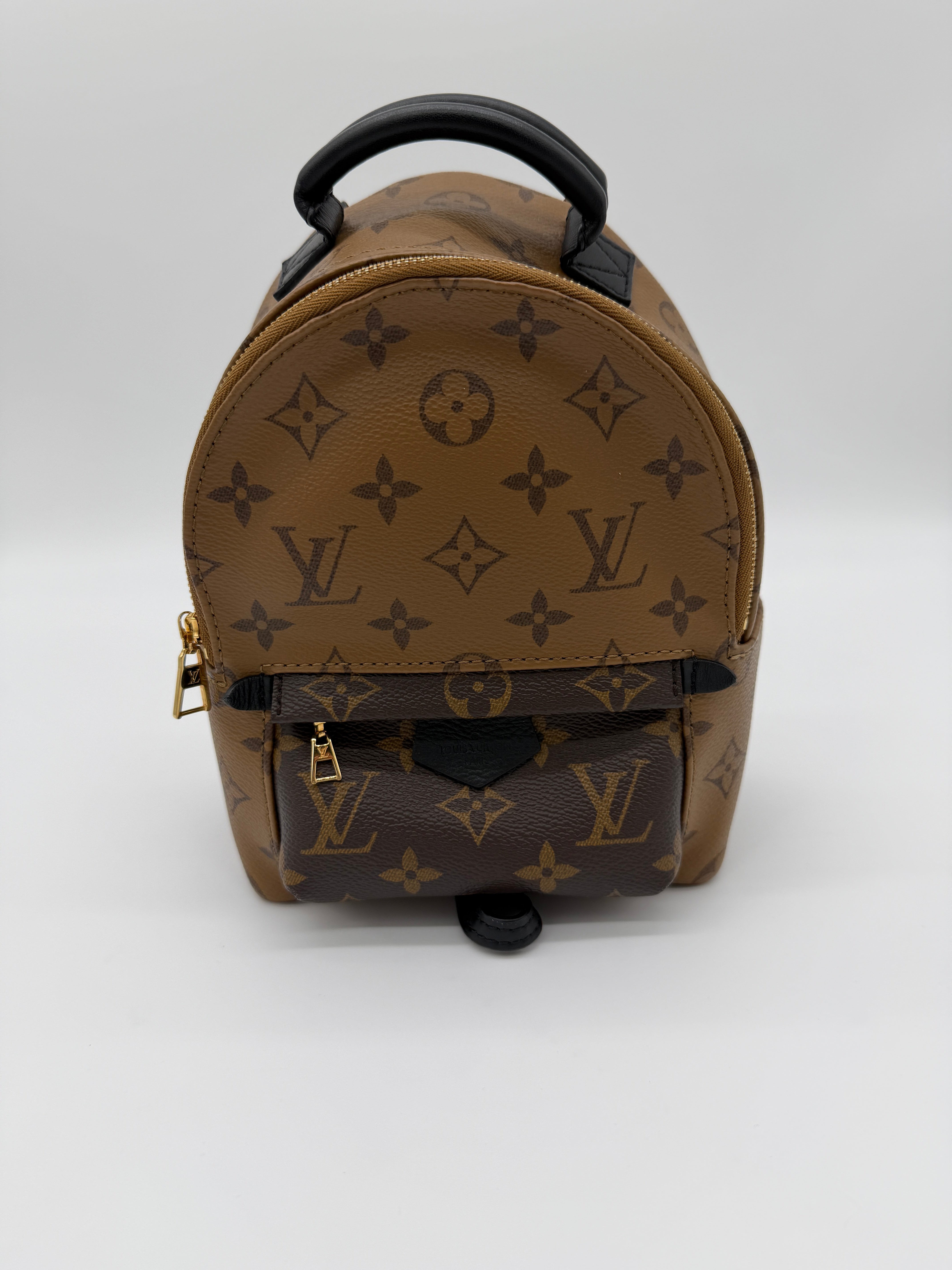 Louis Vuitton Palm Springs Mini Reverse Monogram