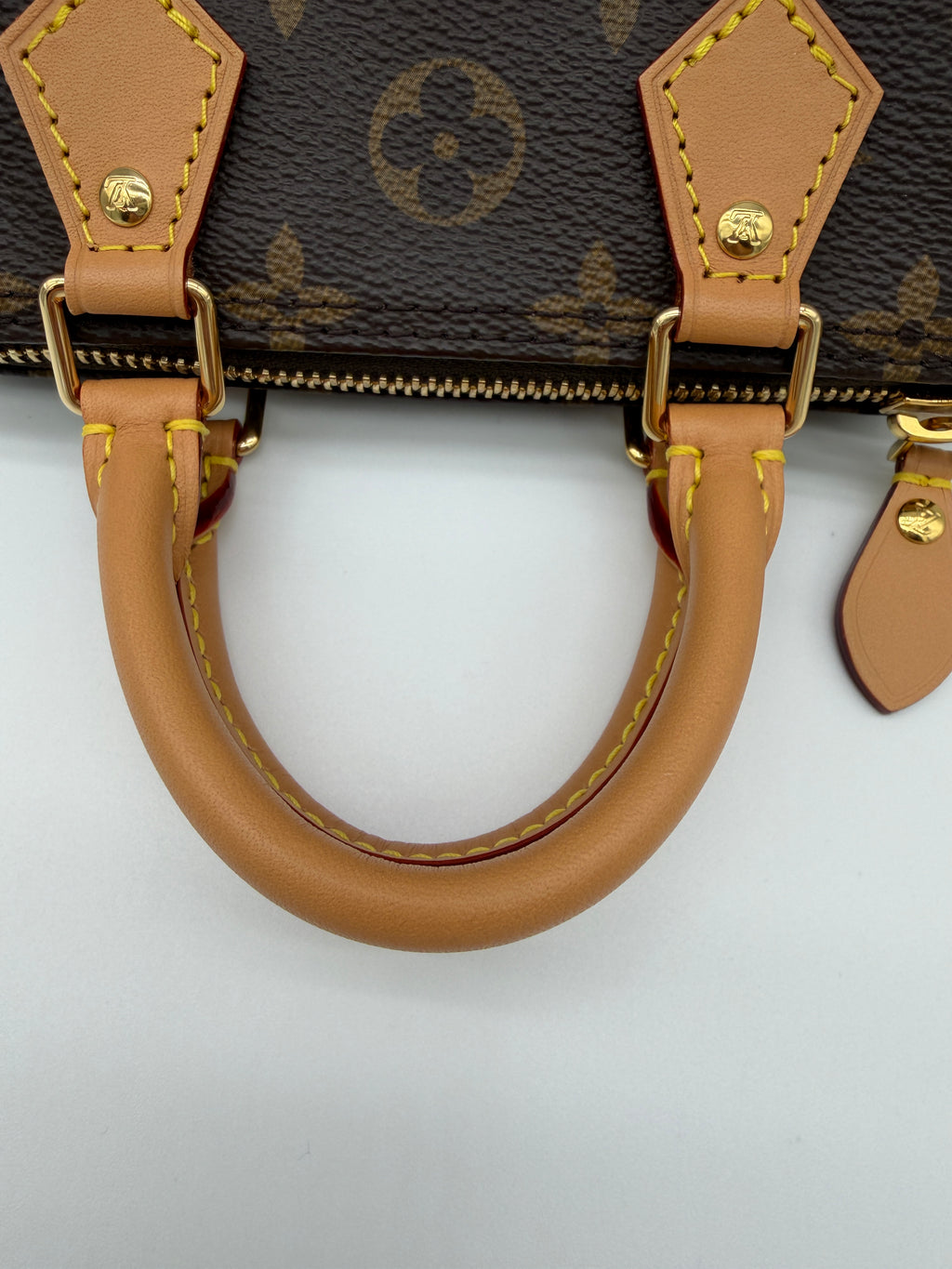 Louis Vuitton Monogram Speedy Nano