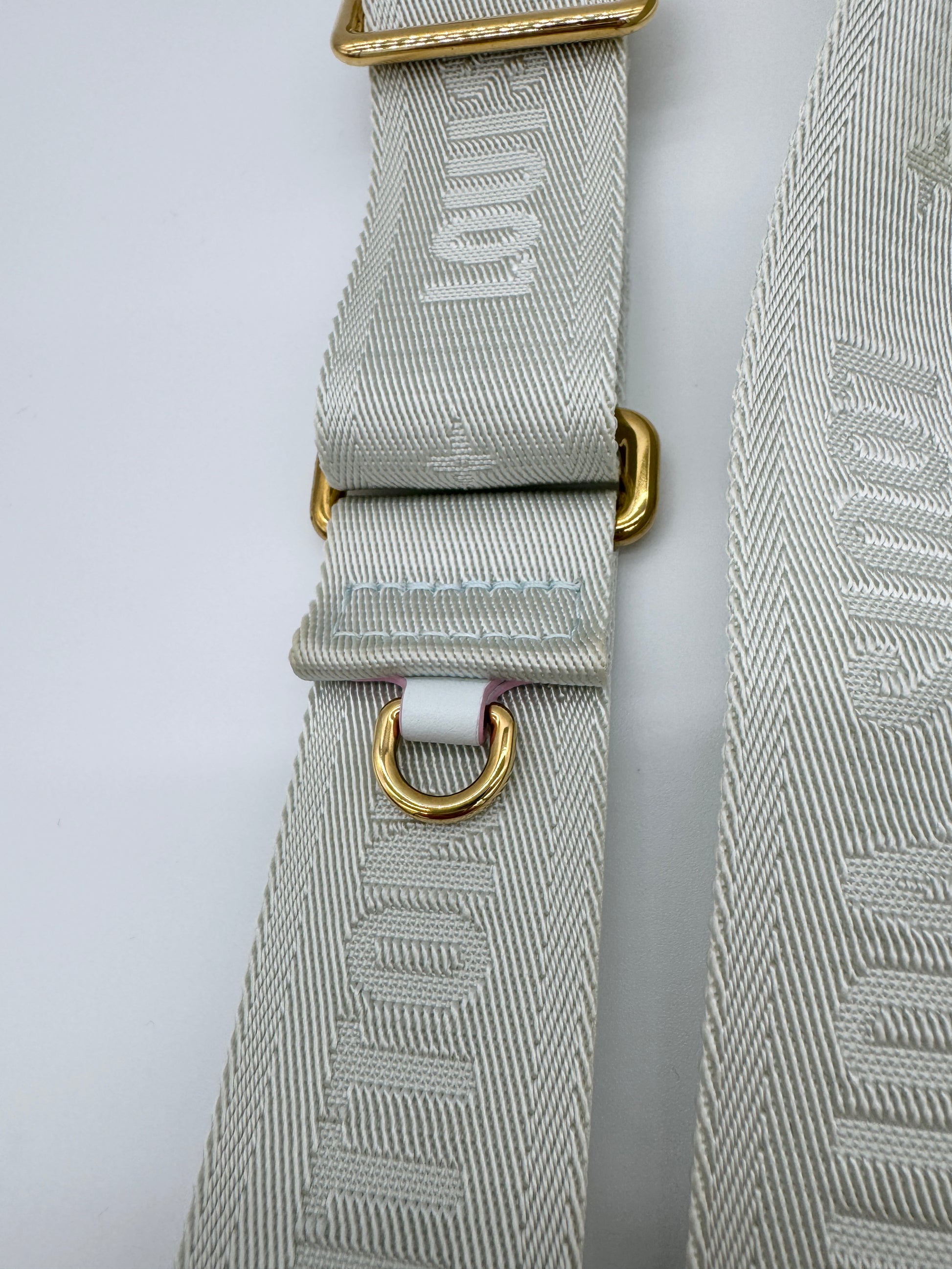 Louis Vuitton OnTheGo PM Spring in the City Shoulder Guitar Strap