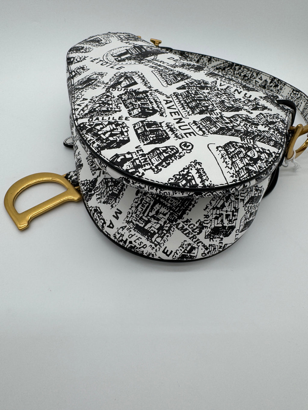 Christian Dior Plan De Paris Saddle Bag