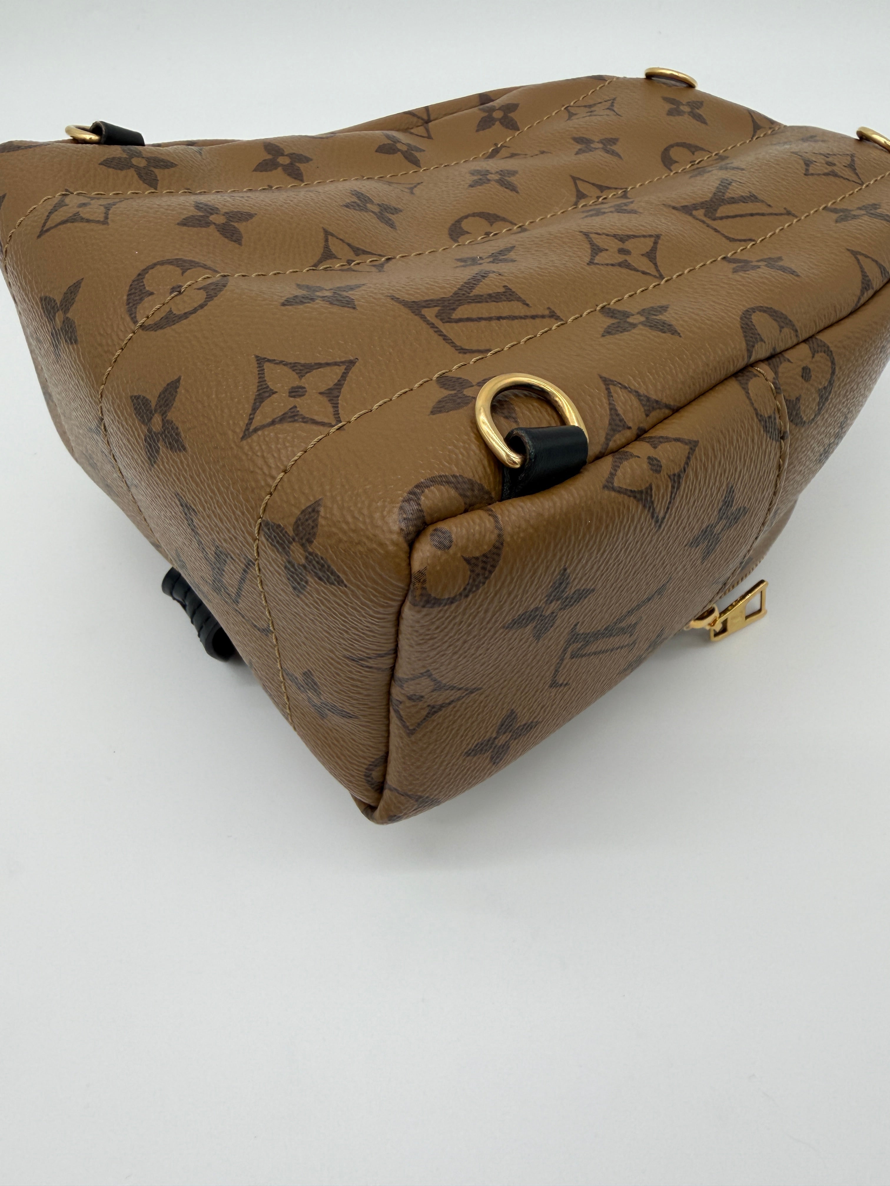 Louis Vuitton Palm Springs Mini Reverse Monogram
