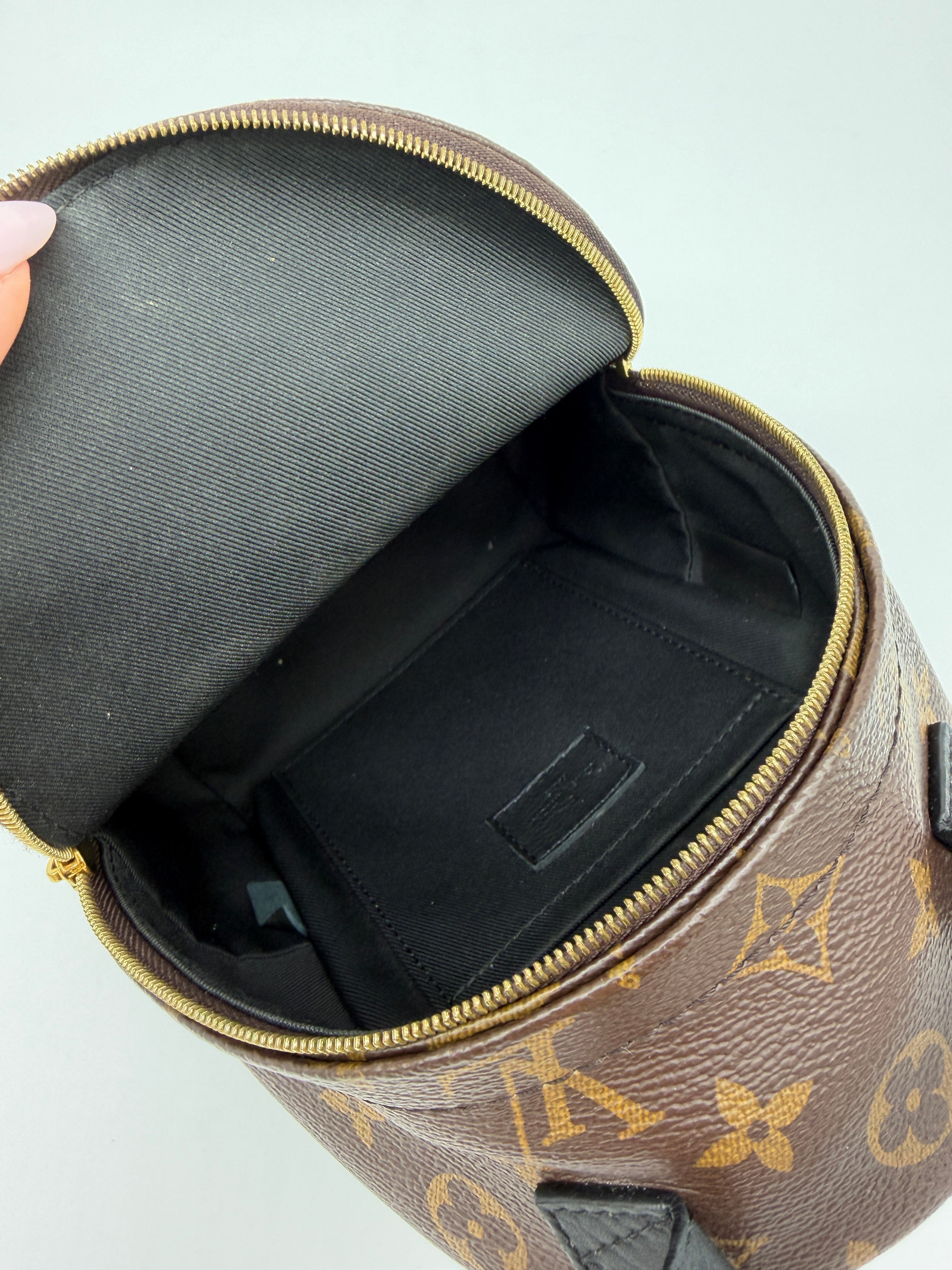 Louis Vuitton Monogram Palm Springs Mini