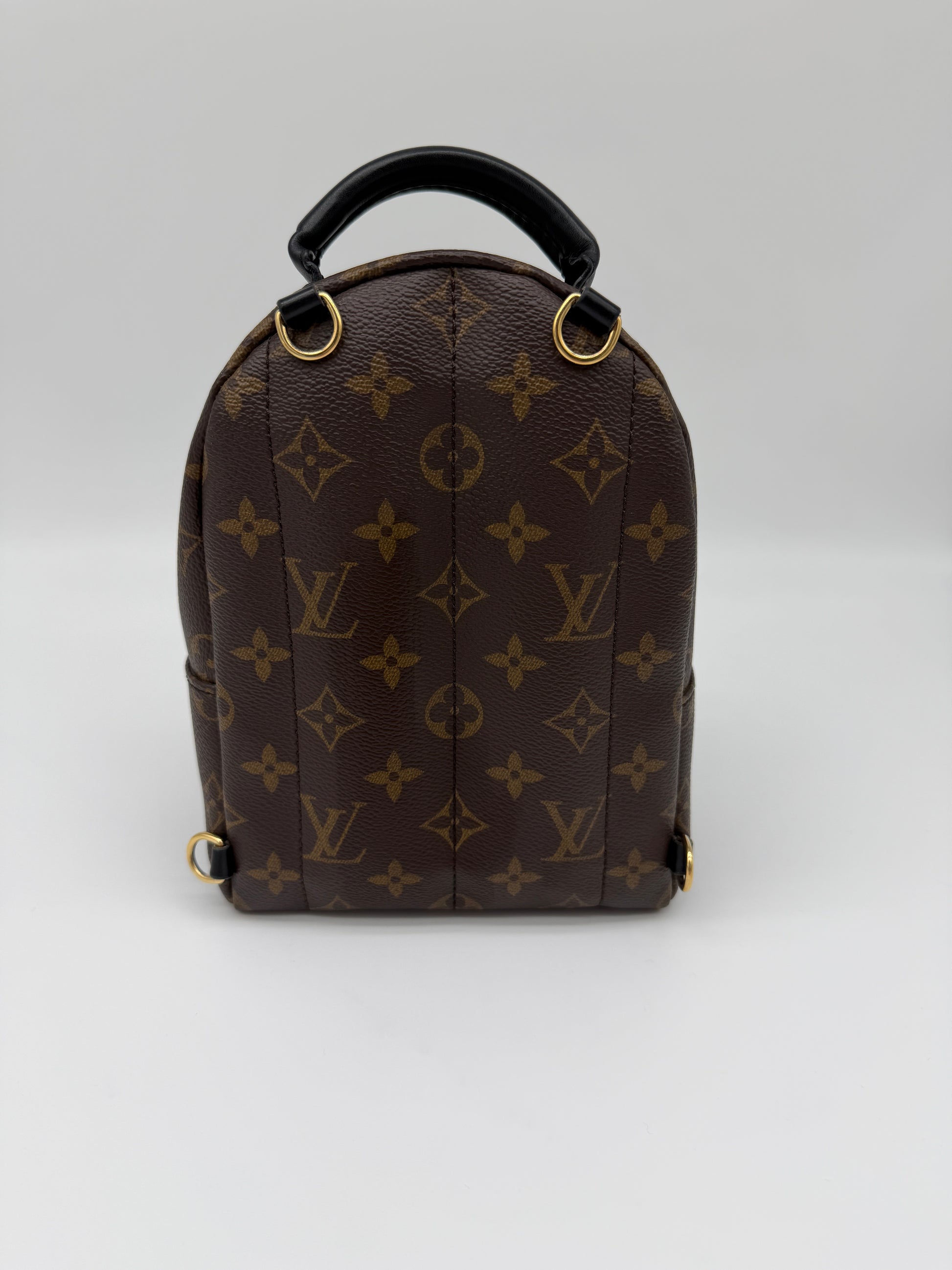 Louis Vuitton Monogram Palm Springs Mini