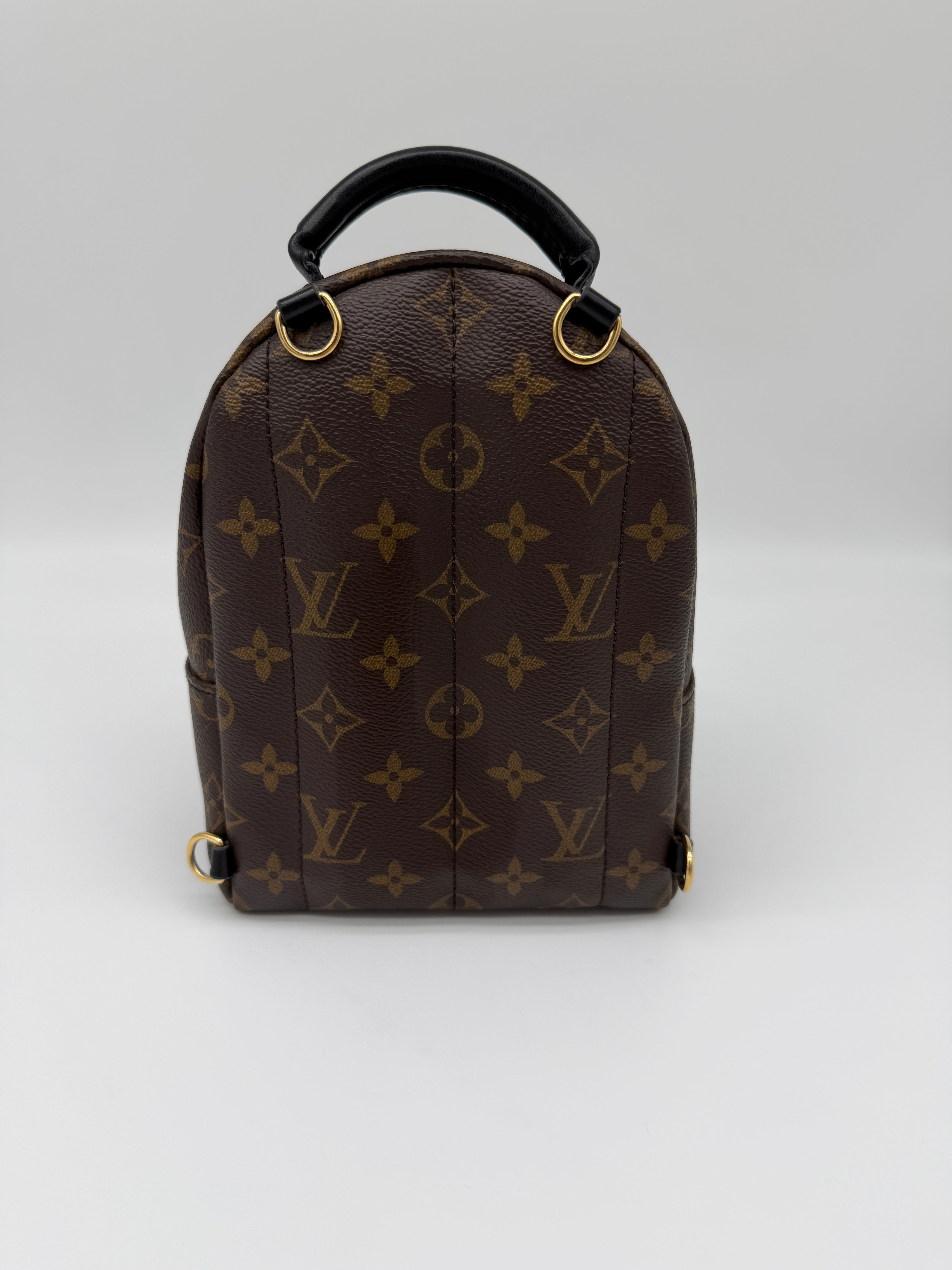 Louis Vuitton Monogram Palm Springs Mini