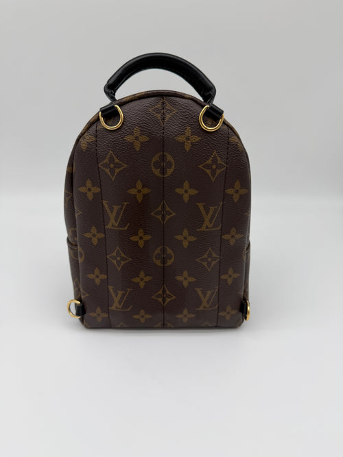 Louis Vuitton Monogram Palm Springs Mini