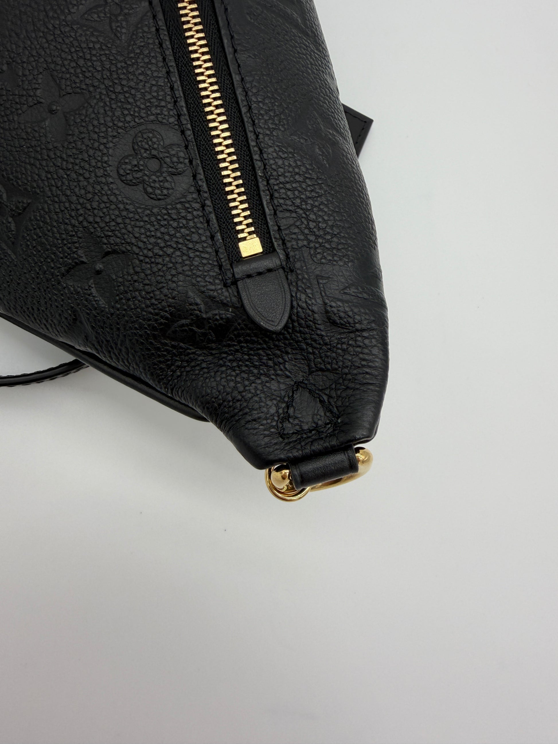 Louis Vuitton High Rise Empreinte Bumbag