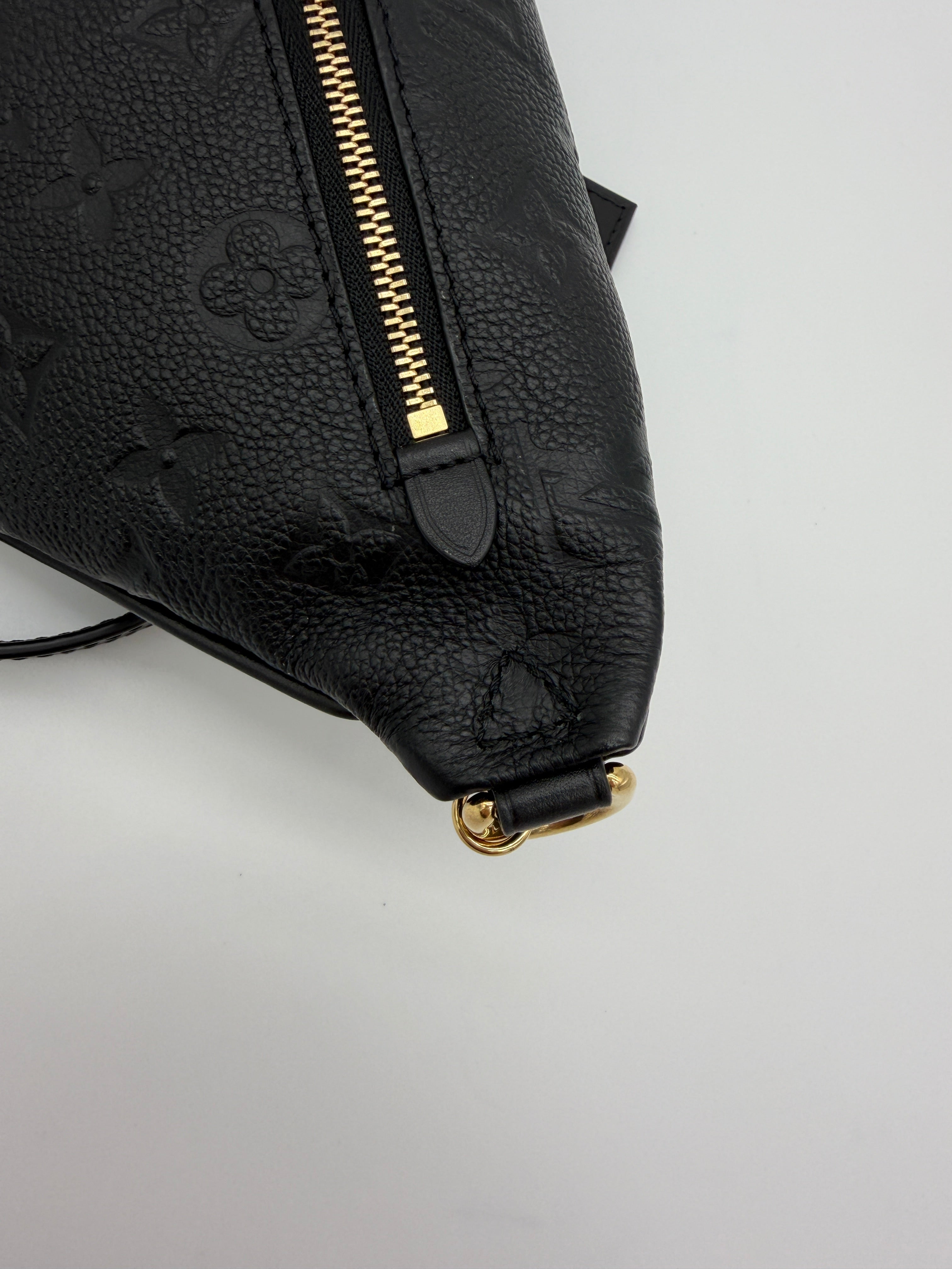 Louis Vuitton High Rise Empreinte Bumbag