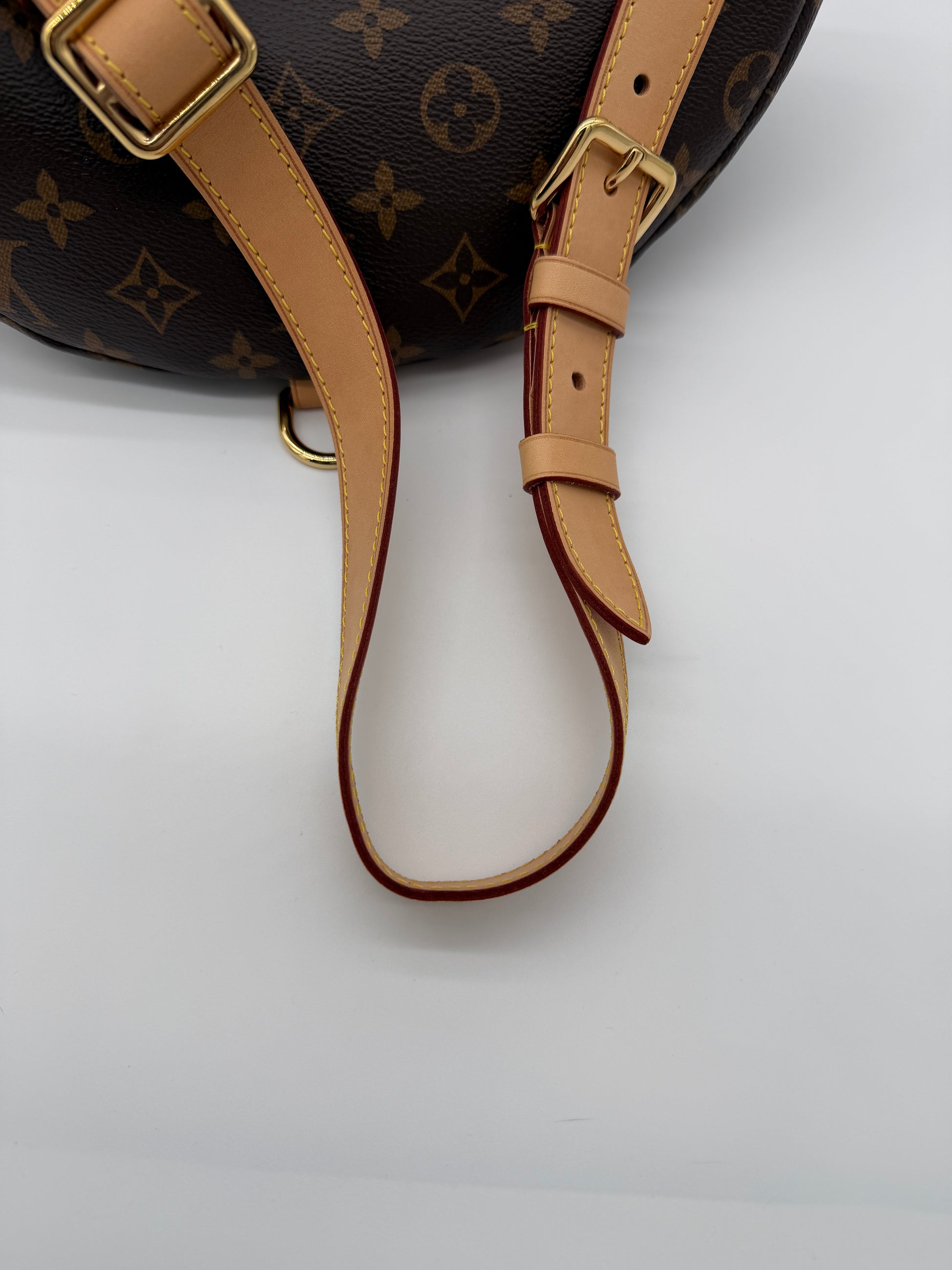 Louis Vuitton OG Monogram Bumbag