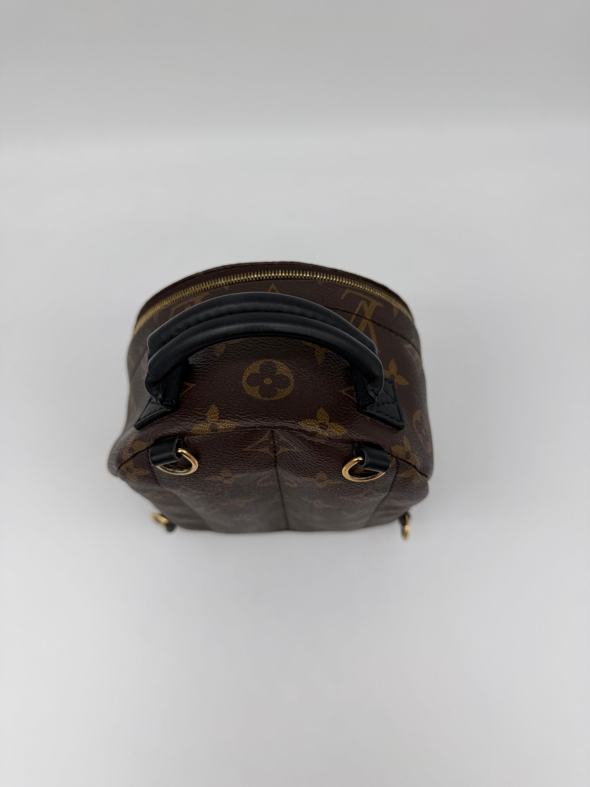 Louis Vuitton Monogram Palm Springs Mini