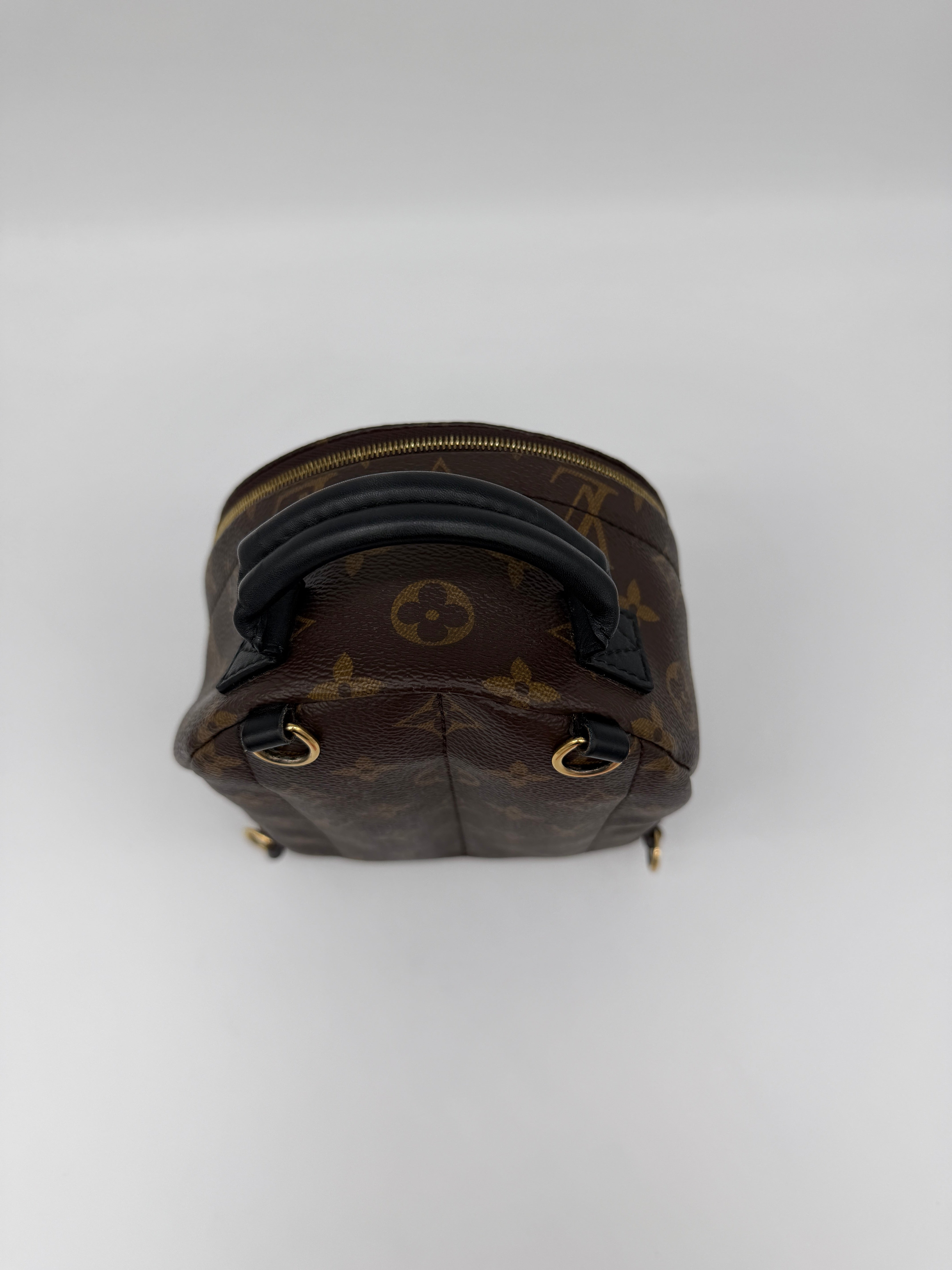 Louis Vuitton Monogram Palm Springs Mini
