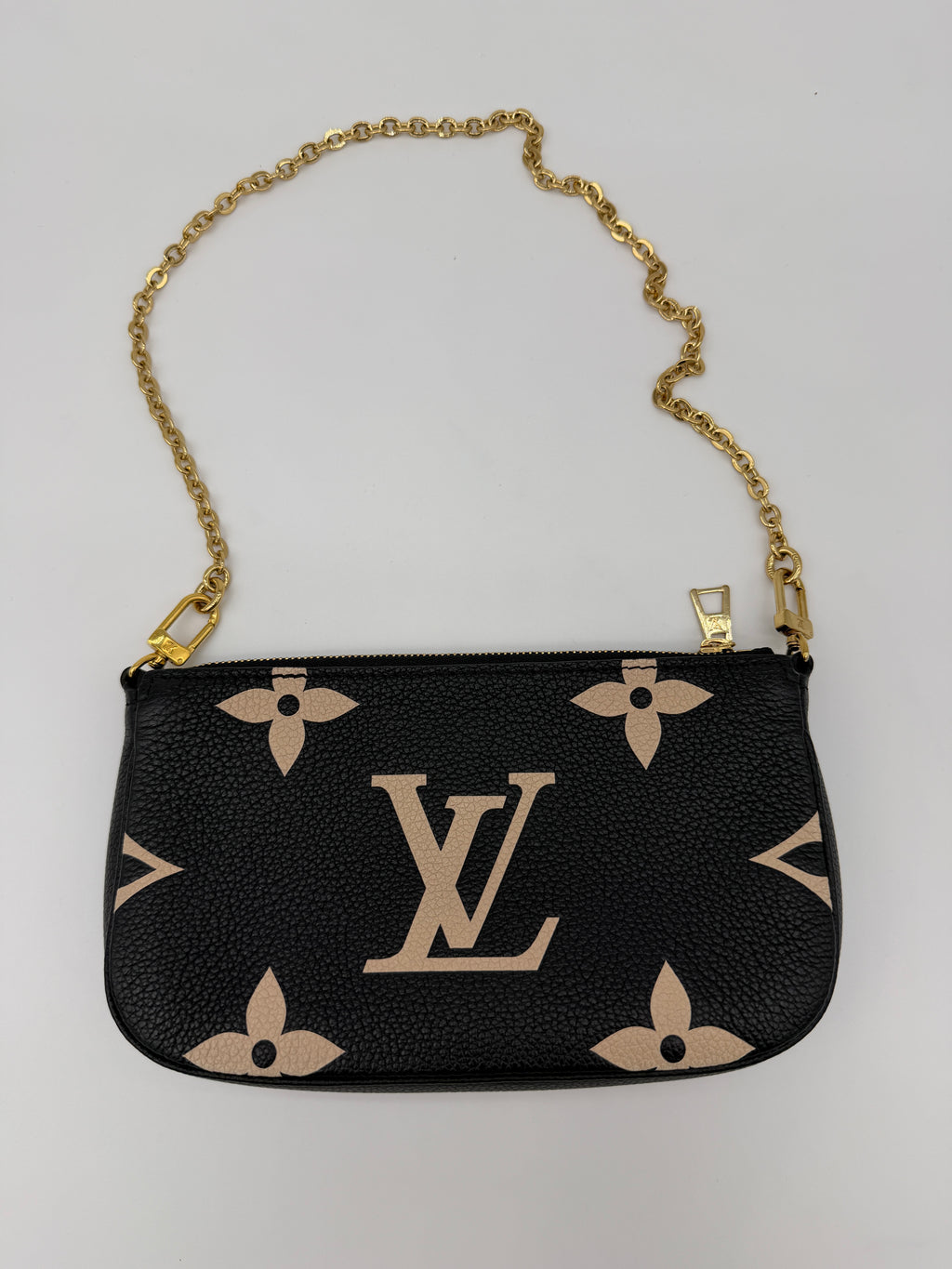 Louis Vuitton Bicolor Pochette