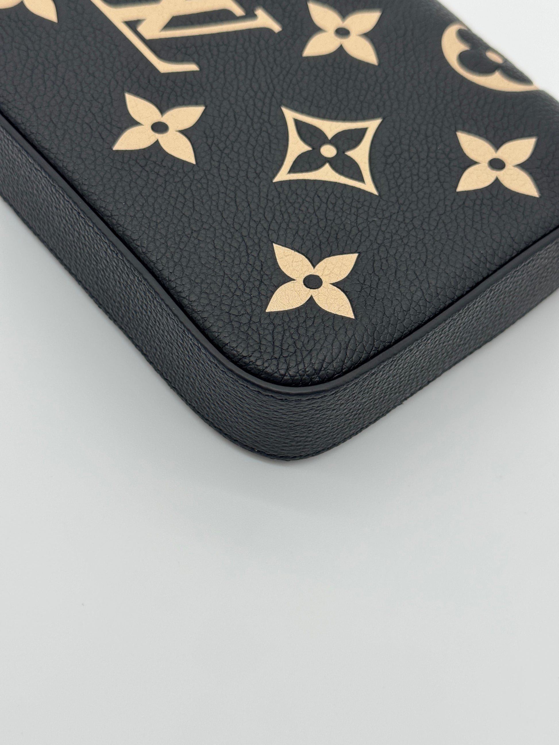 Louis Vuitton Felicie Pochette Bicolor Empreinte