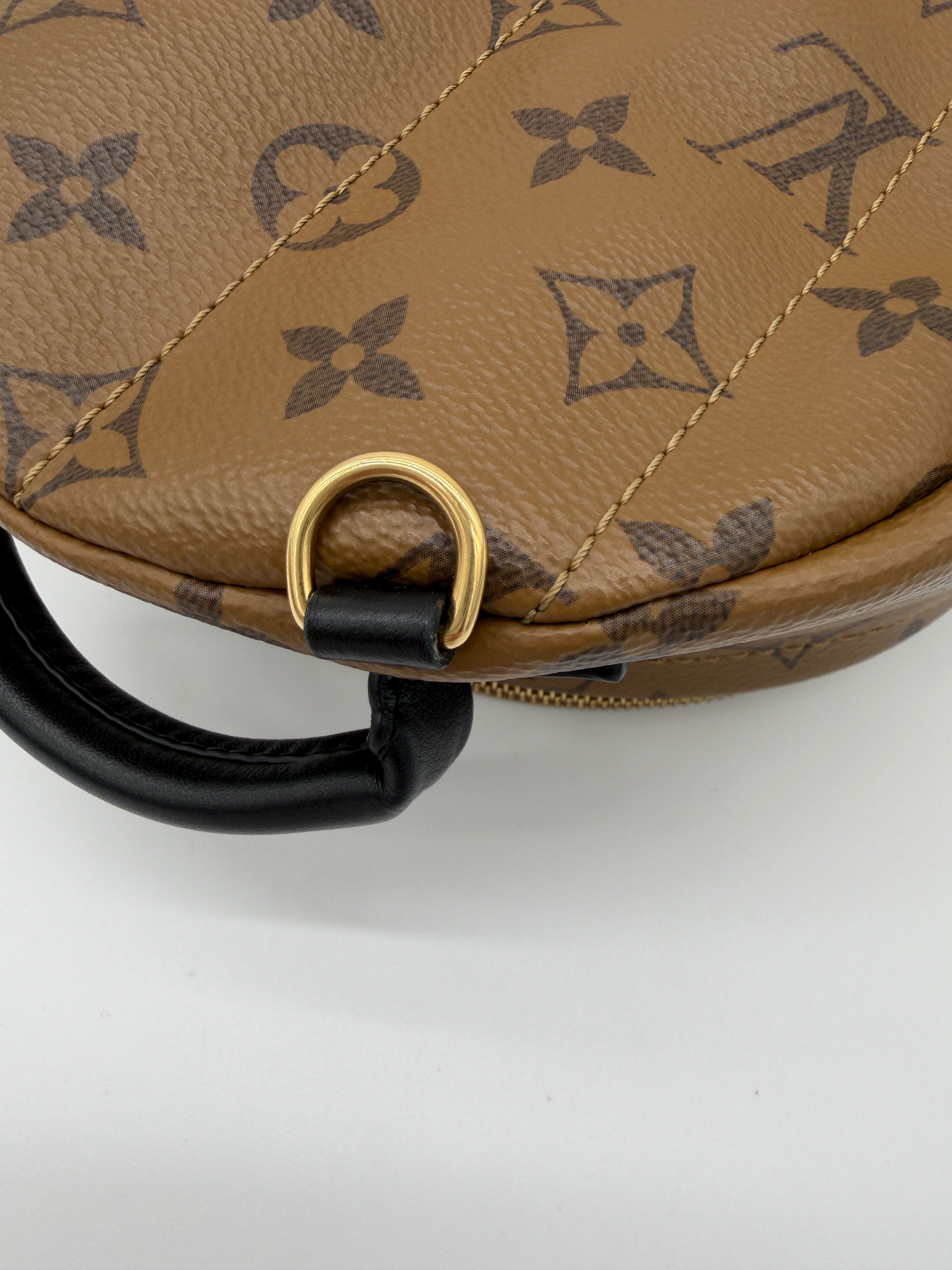 Louis Vuitton Palm Springs Mini Reverse Monogram