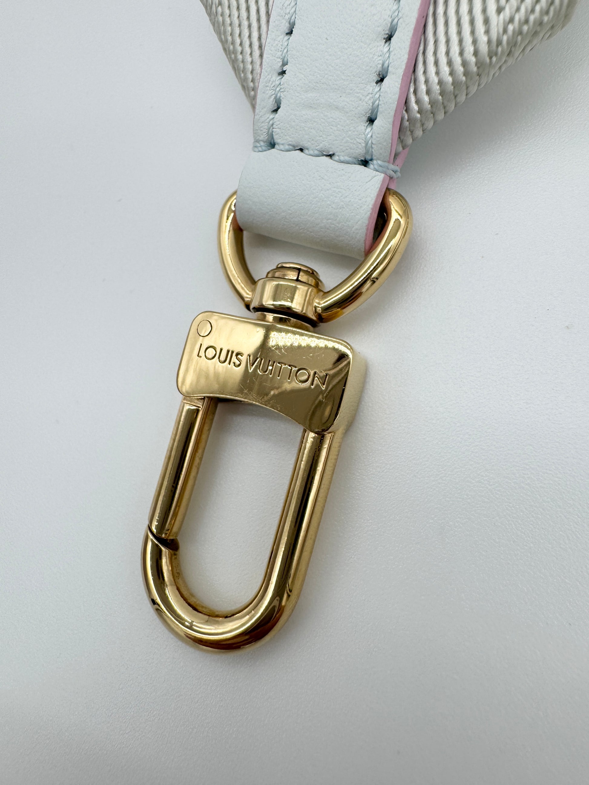 Louis Vuitton OnTheGo PM Spring in the City Shoulder Guitar Strap