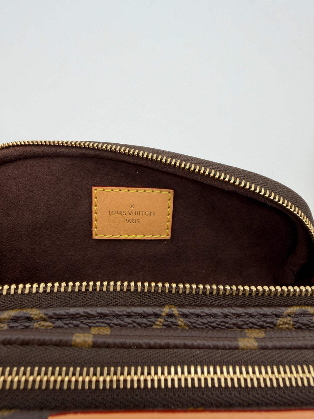 Louis Vuitton Monogram Mini Bumbag