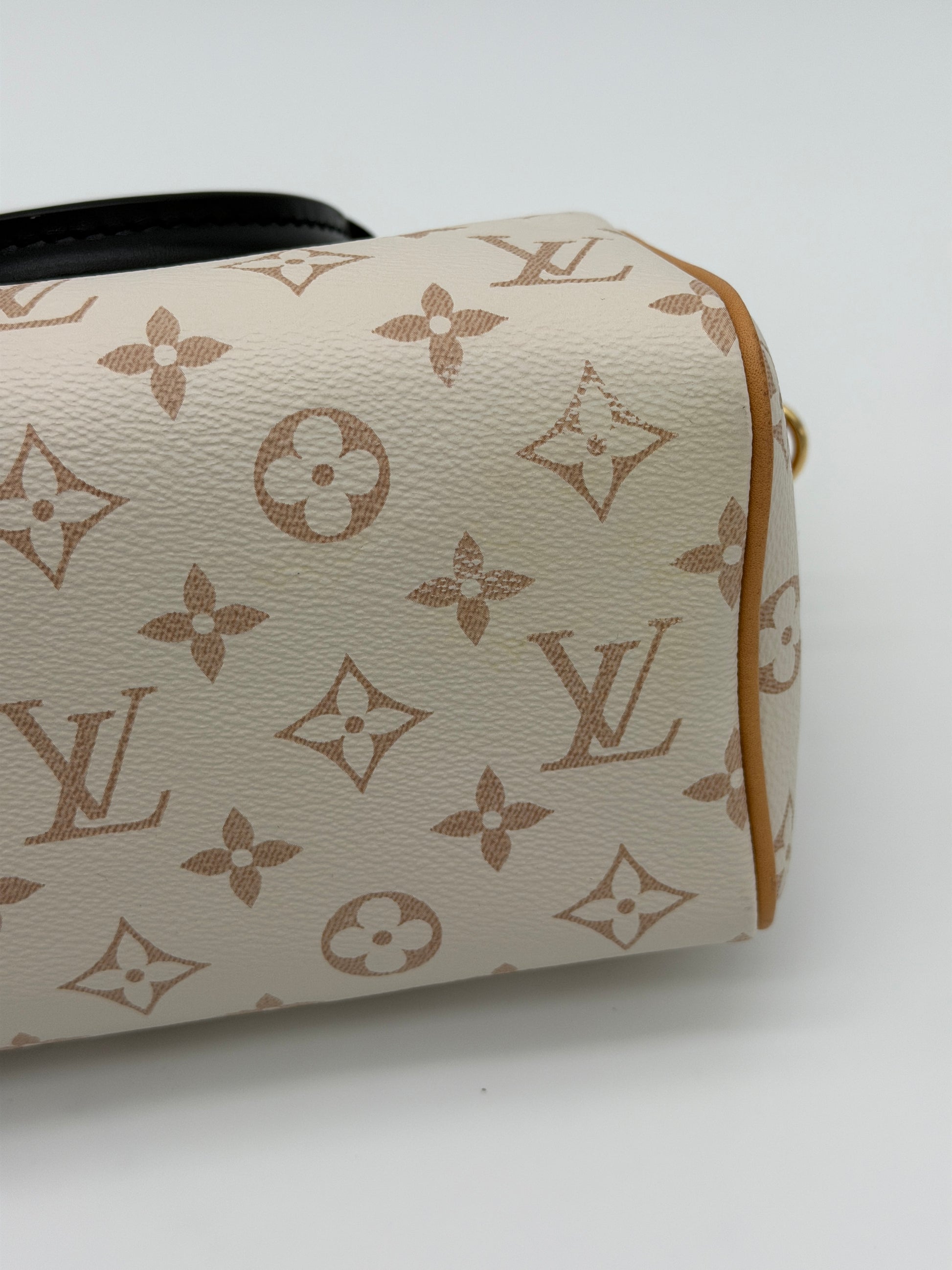 Louis Vuitton Speedy 20 Dune