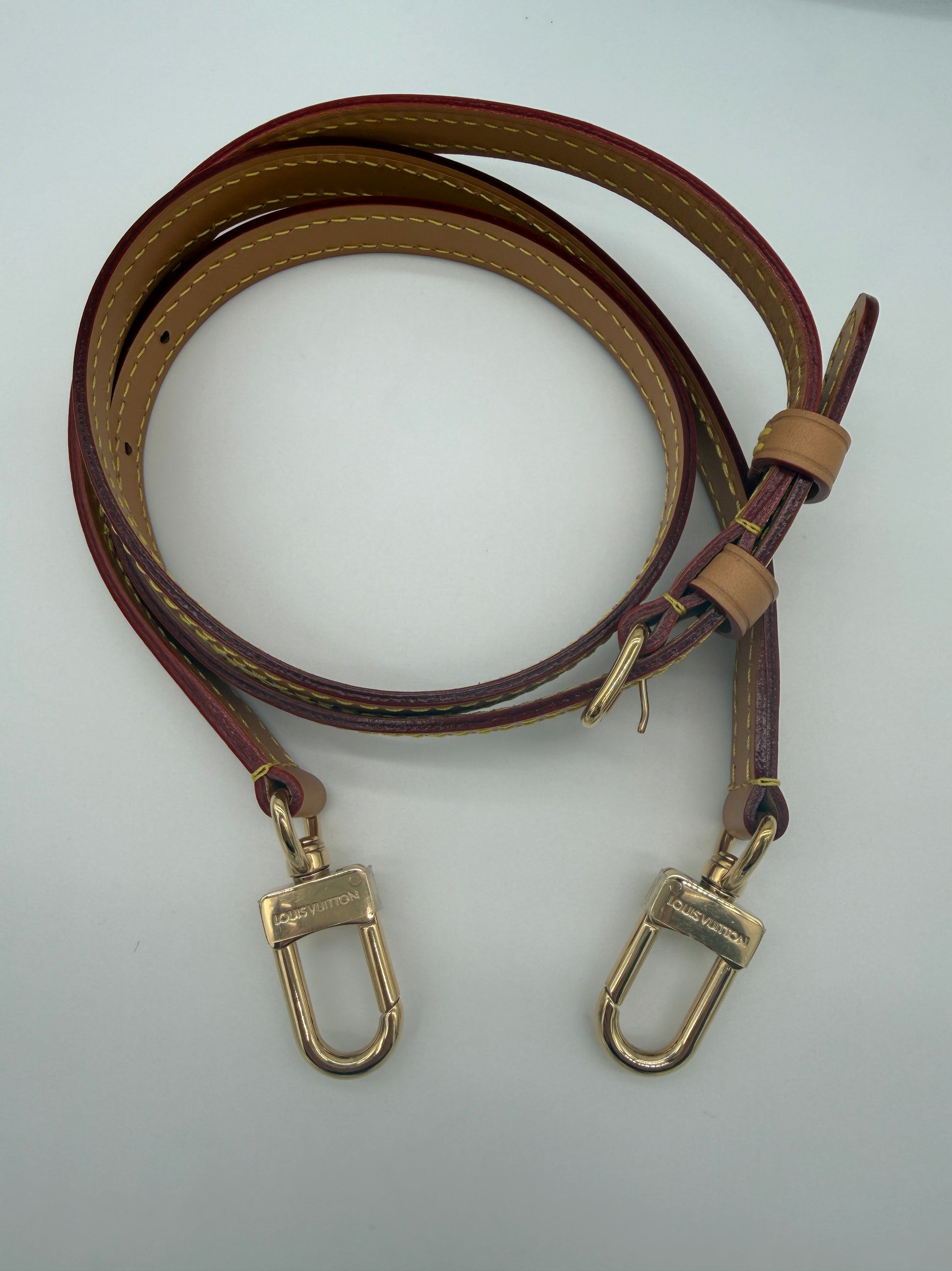 Louis Vuitton Denim Speedy Nano