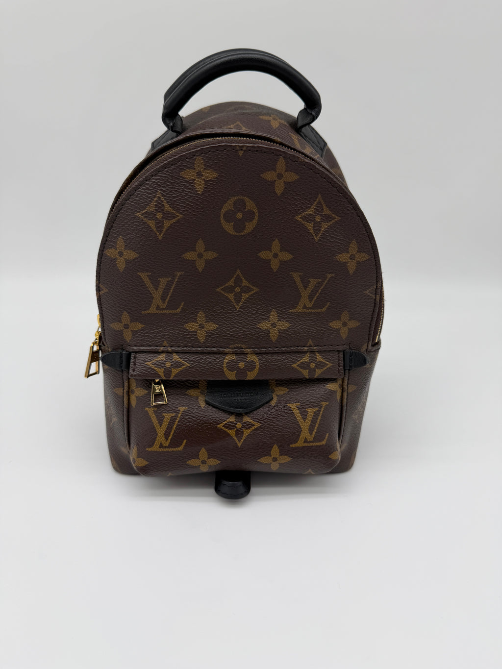 Louis Vuitton Monogram Palm Springs Mini