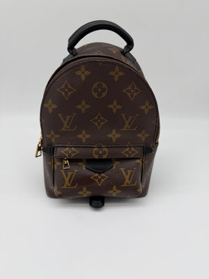 Louis Vuitton Monogram Palm Springs Mini