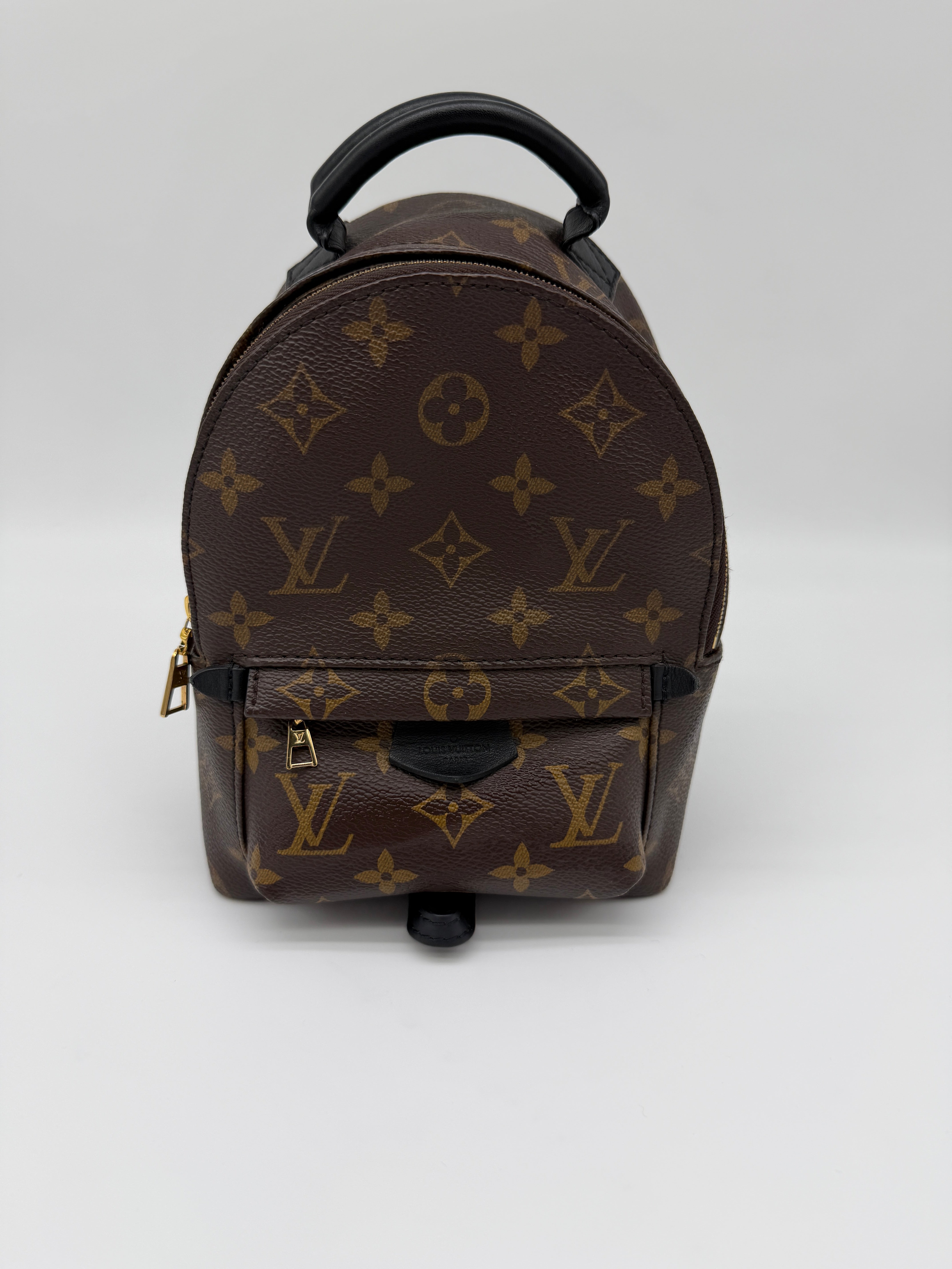 Louis Vuitton Monogram Palm Springs Mini