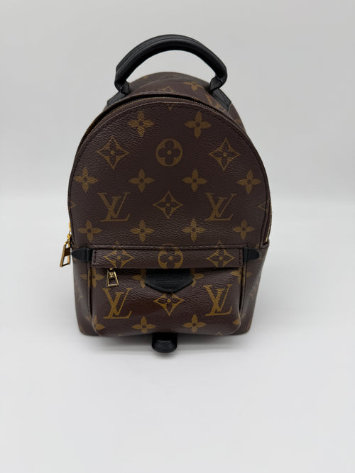 Louis Vuitton Monogram Palm Springs Mini