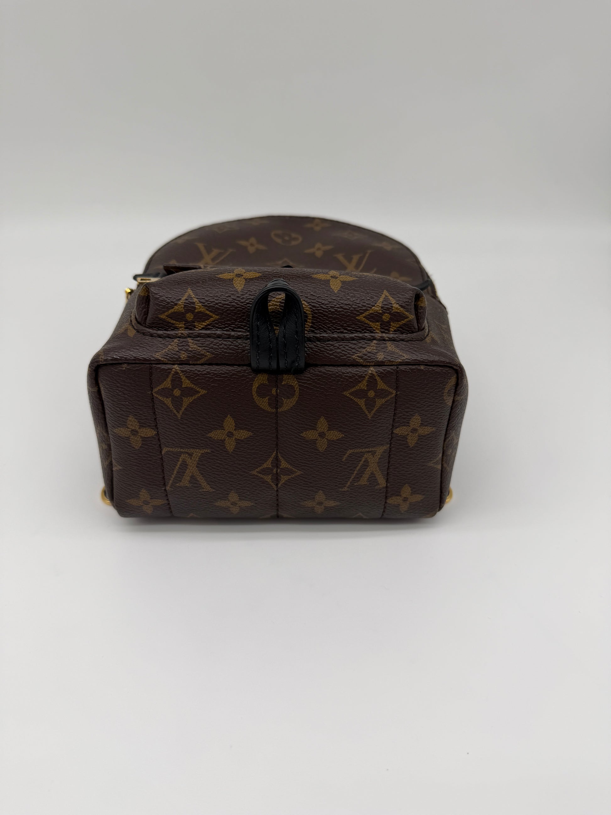 Louis Vuitton Monogram Palm Springs Mini
