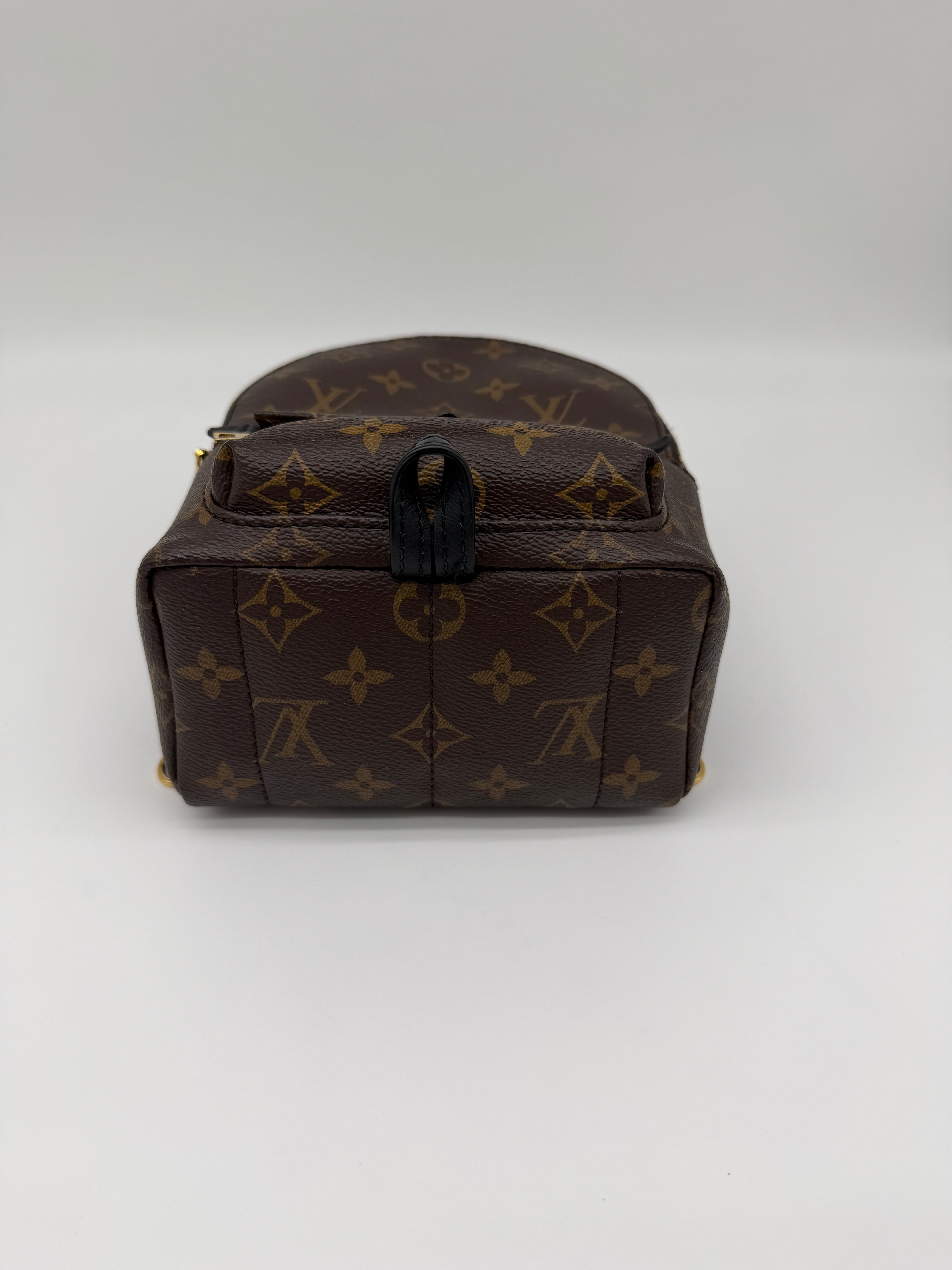 Louis Vuitton Monogram Palm Springs Mini