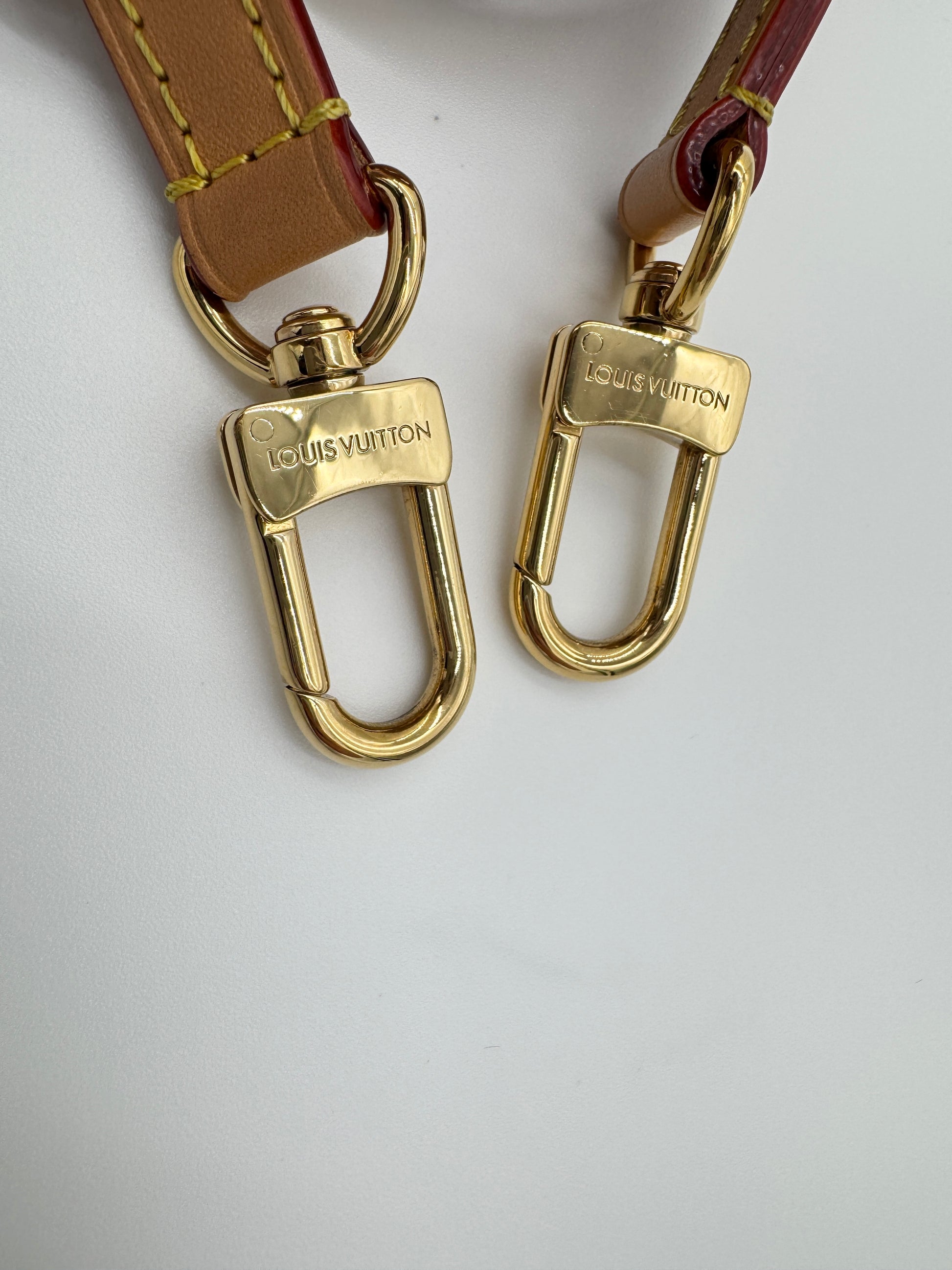 Louis Vuitton Monogram Speedy Nano