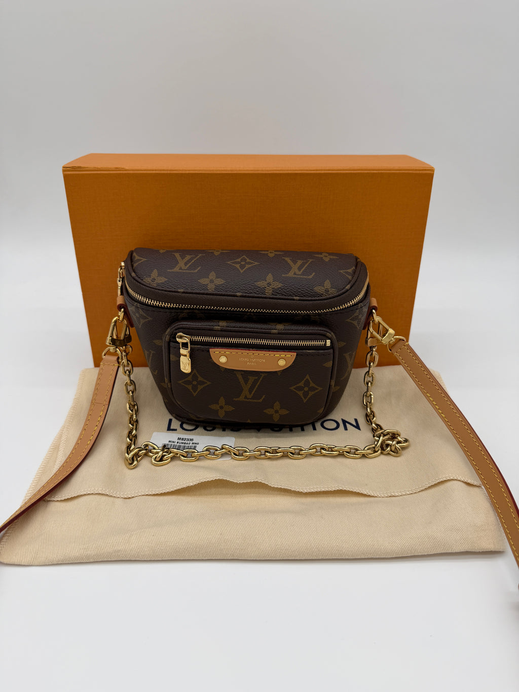Louis Vuitton Monogram Mini Bumbag