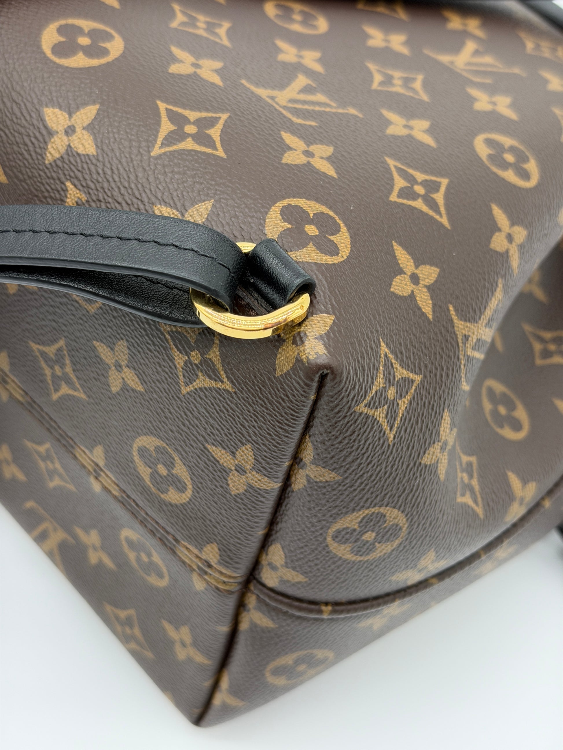 Louis Vuitton Monogram Montsouris Backpack