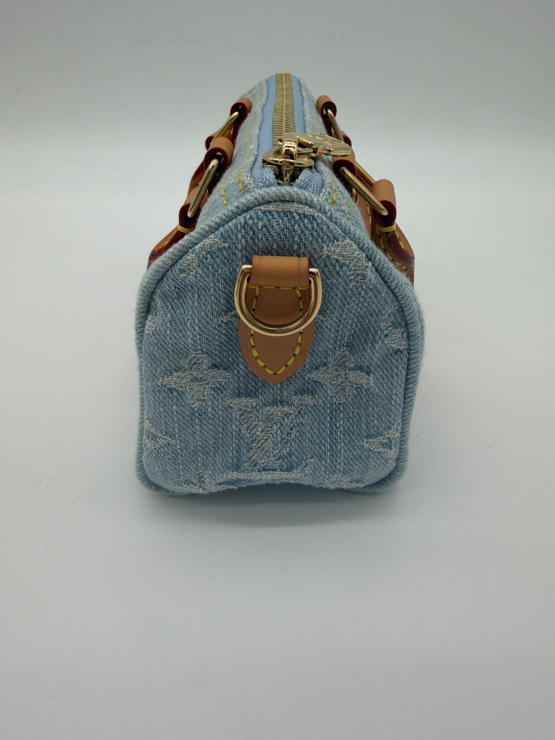 Louis Vuitton Denim Speedy Nano