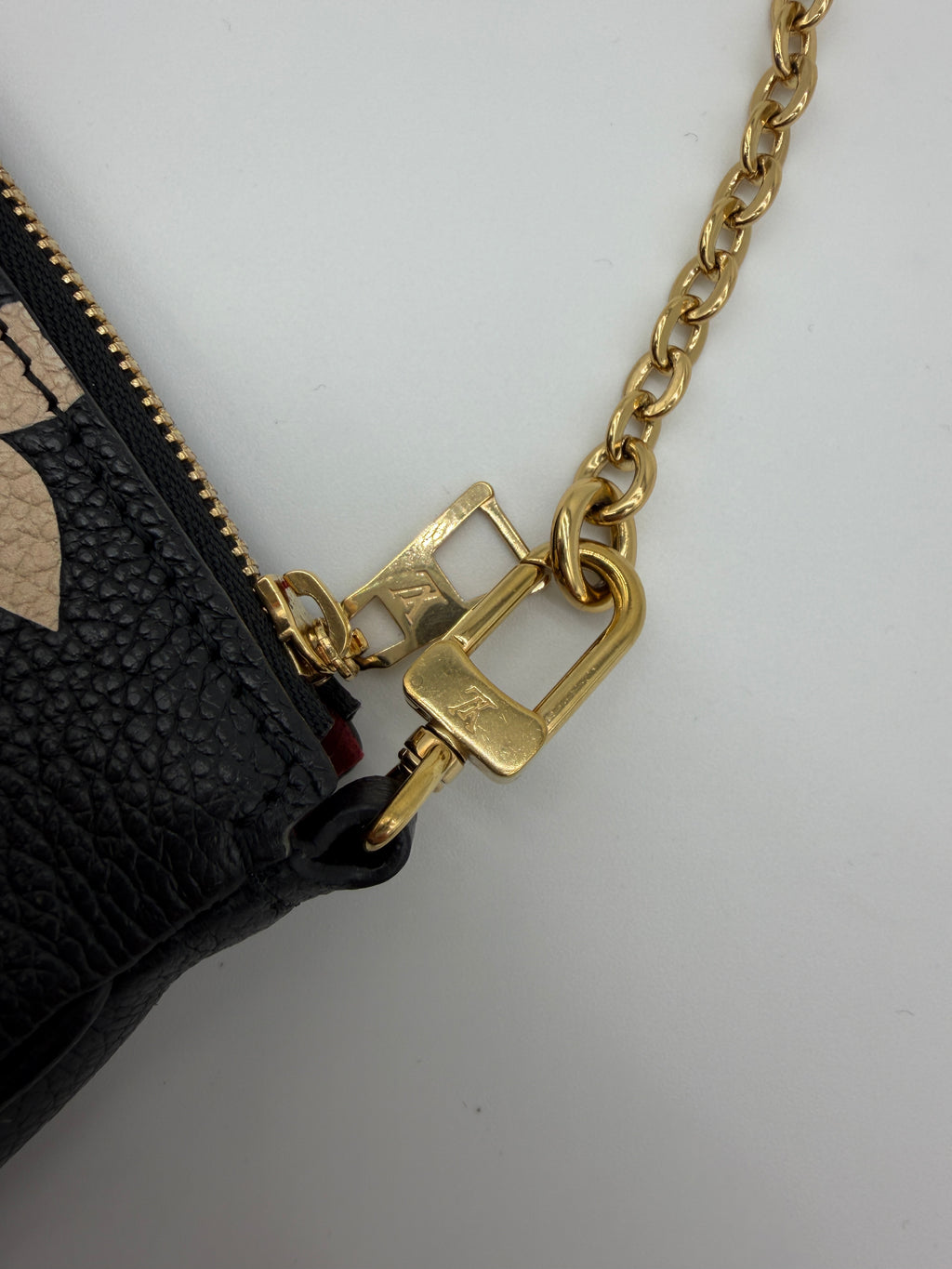 Louis Vuitton Bicolor Pochette