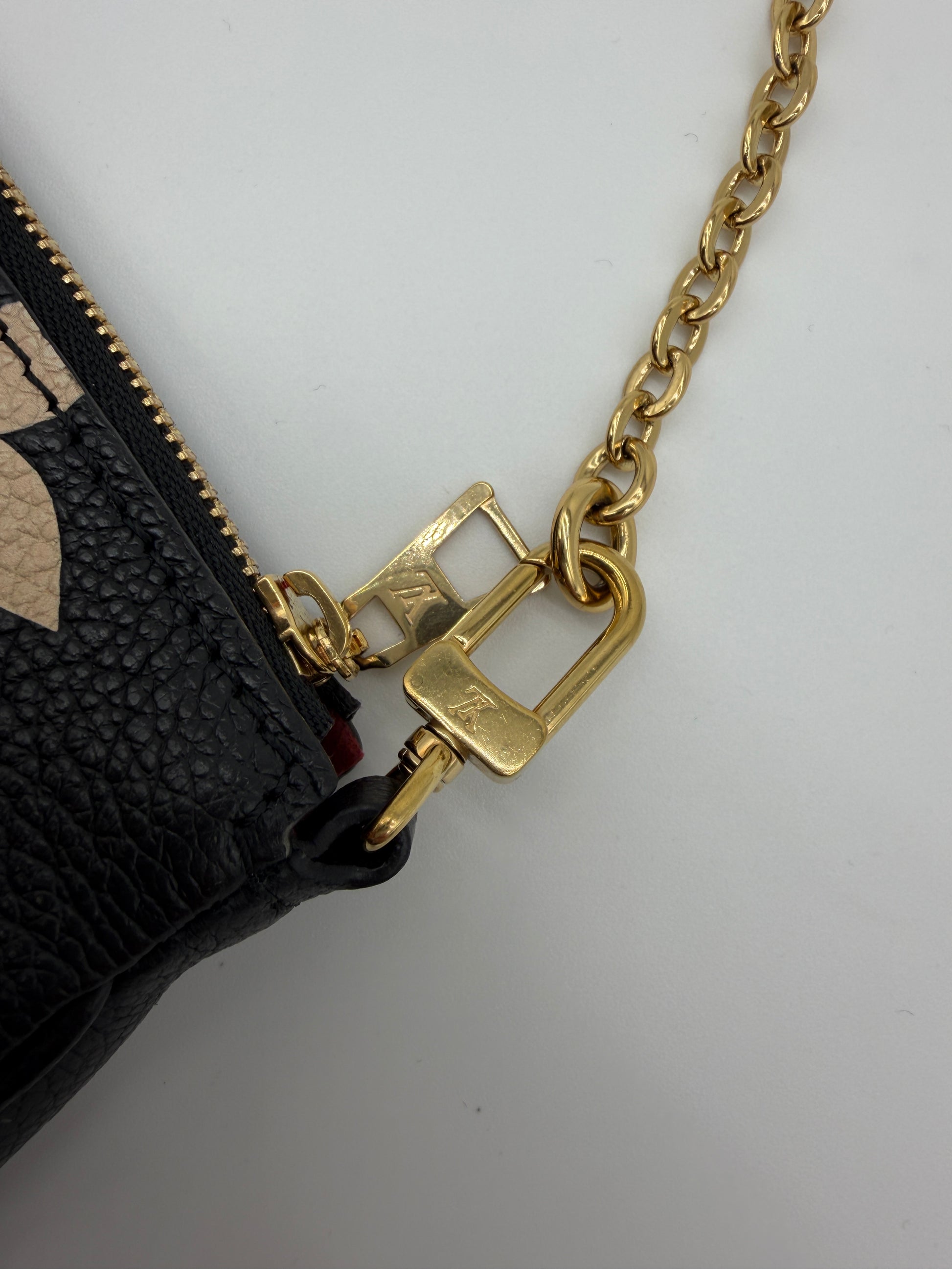 Louis Vuitton Bicolor Pochette