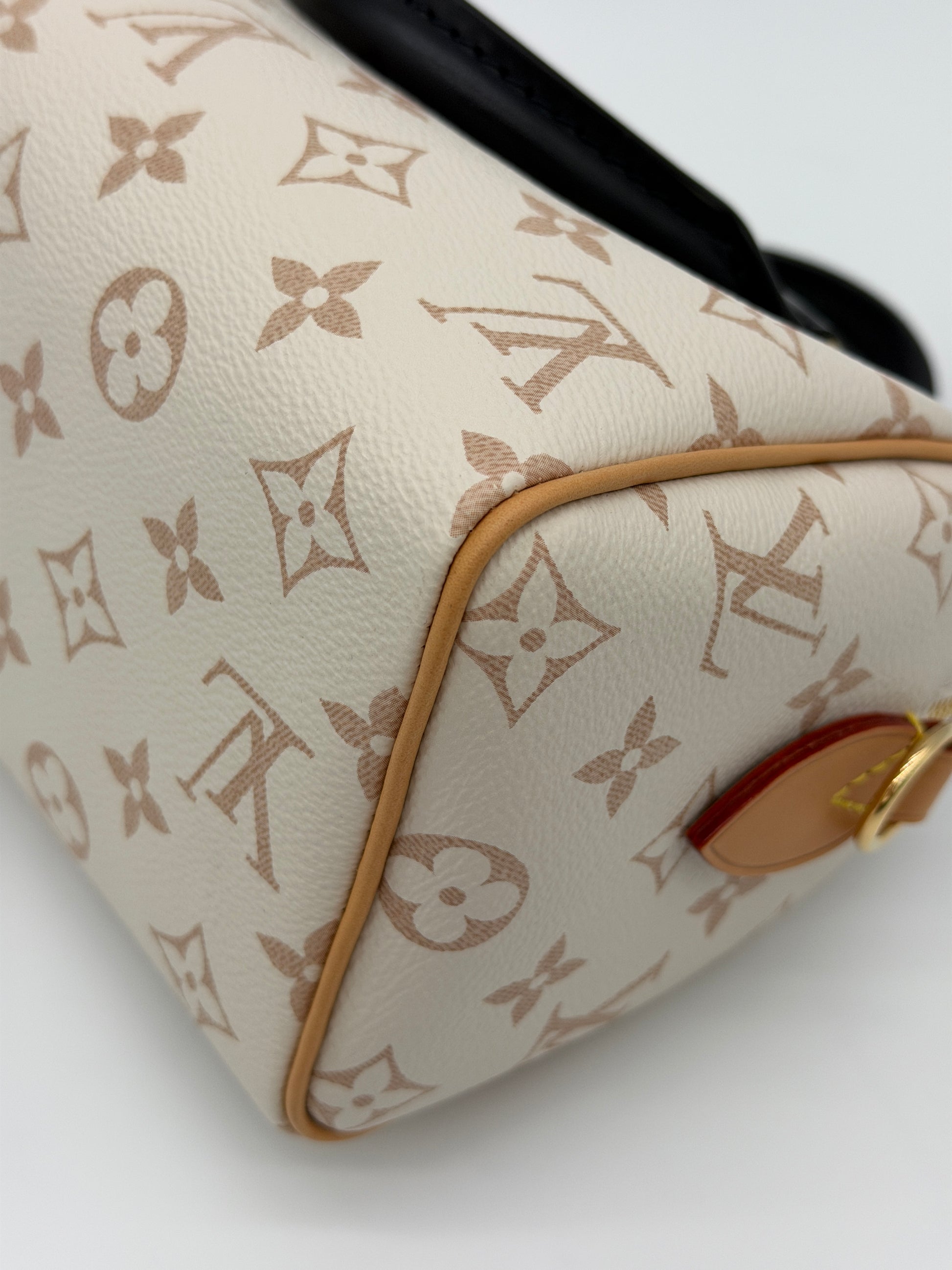 Louis Vuitton Speedy 20 Dune