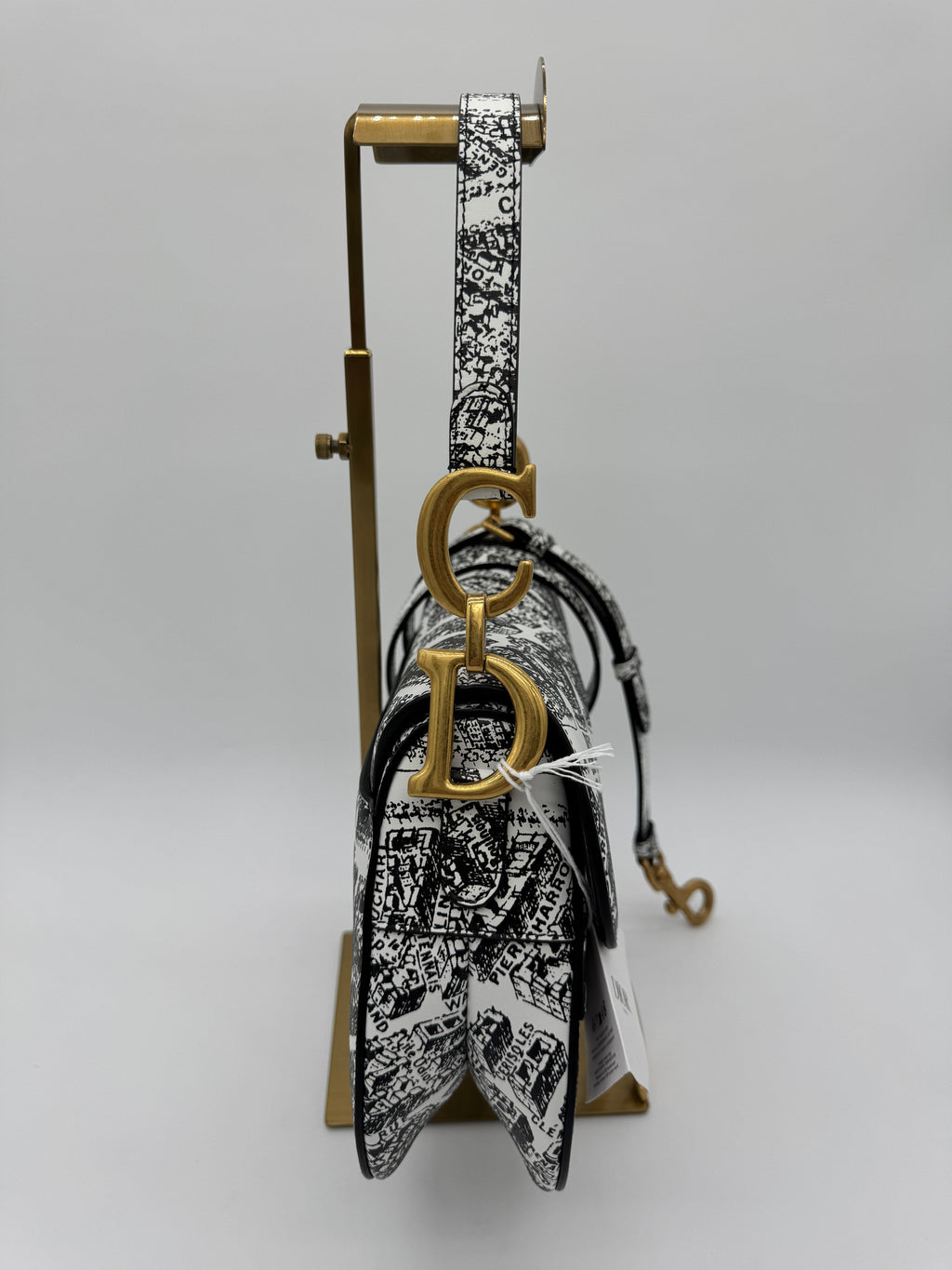 Christian Dior Plan De Paris Saddle Bag