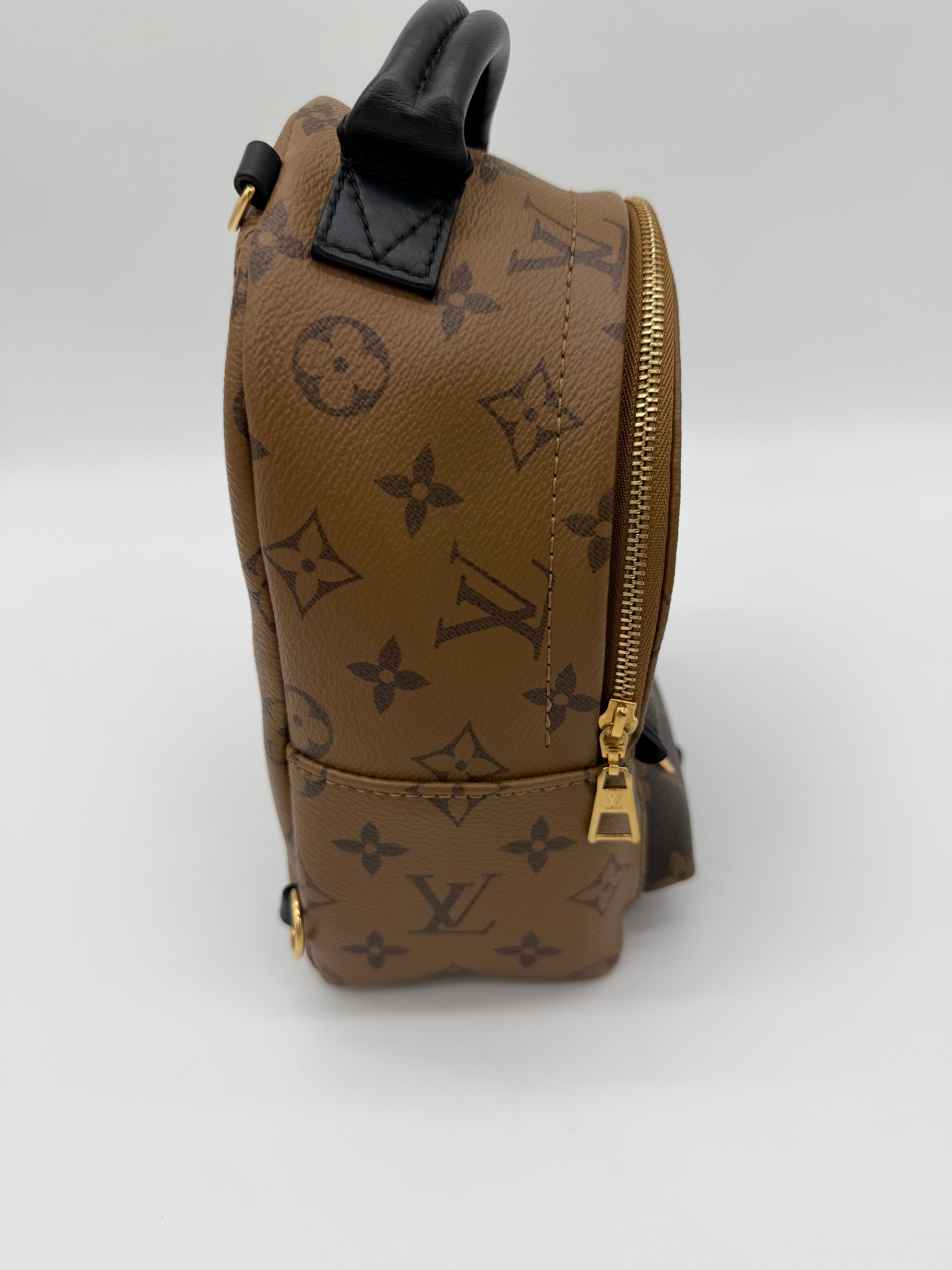 Louis Vuitton Palm Springs Mini Reverse Monogram