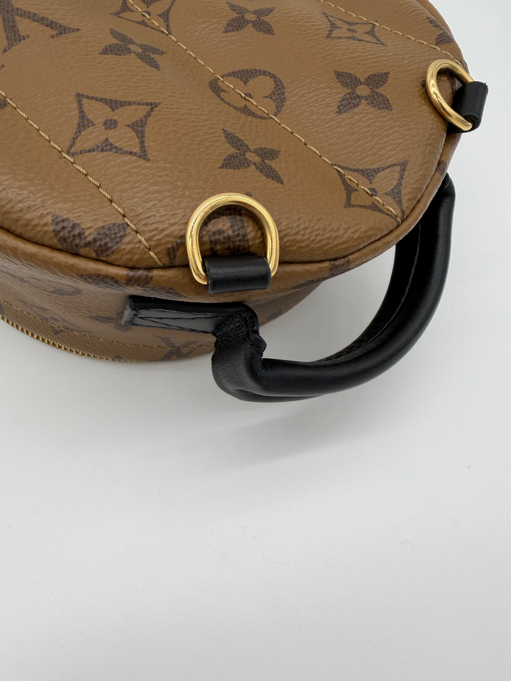 Louis Vuitton Palm Springs Mini Reverse Monogram
