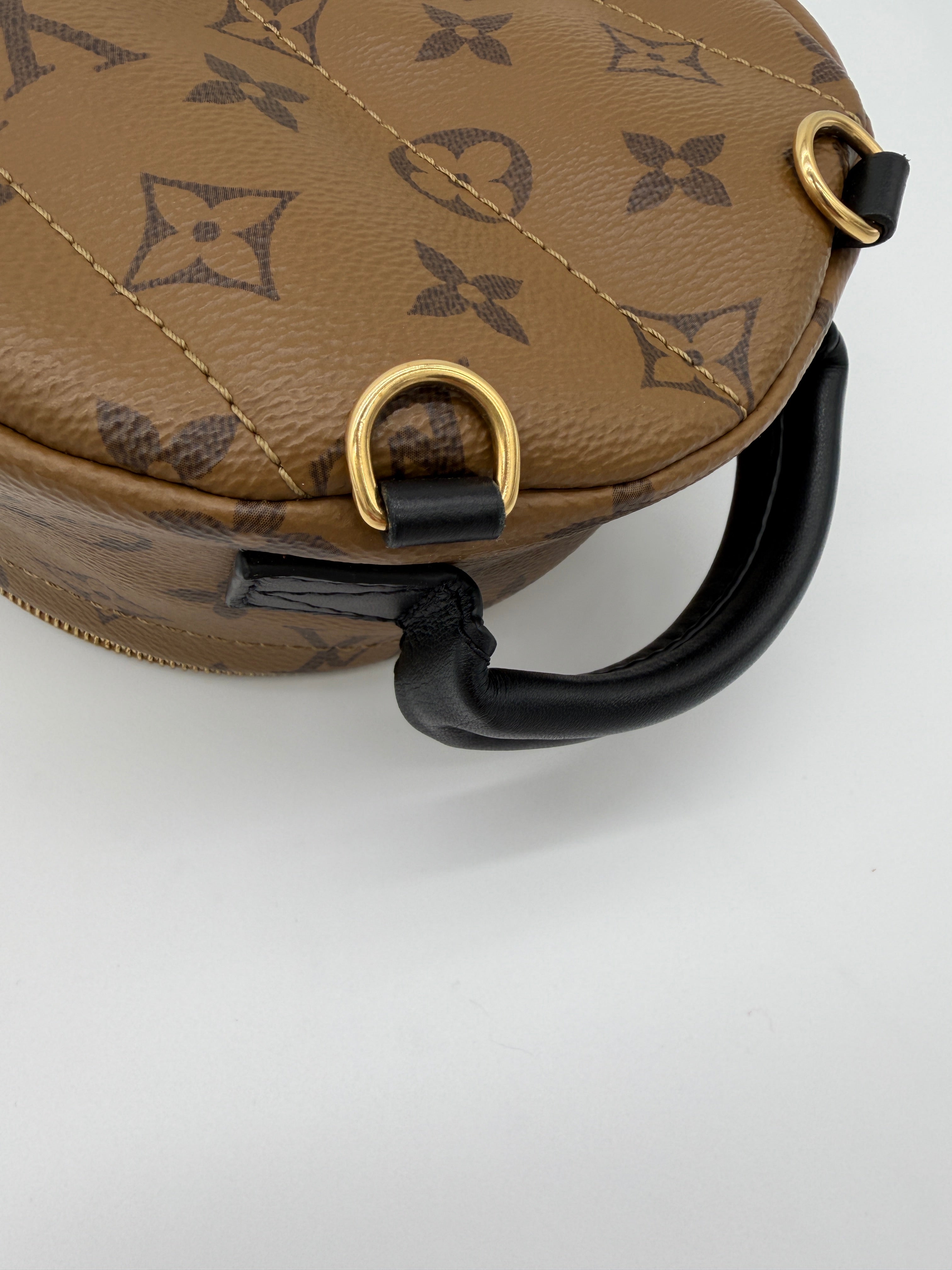 Louis Vuitton Palm Springs Mini Reverse Monogram