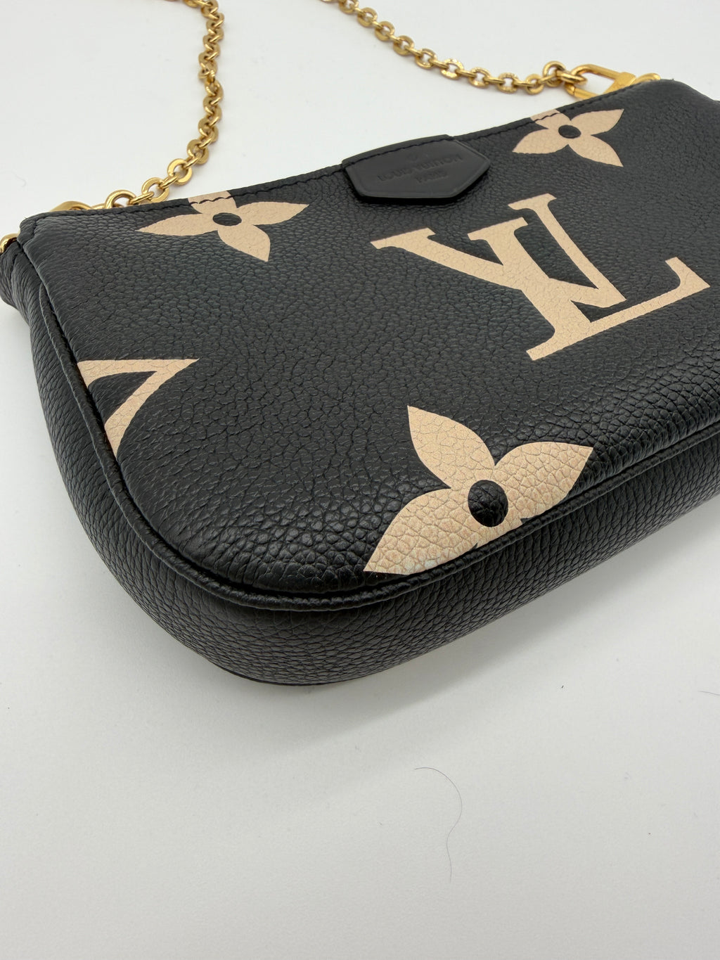 Louis Vuitton Bicolor Pochette